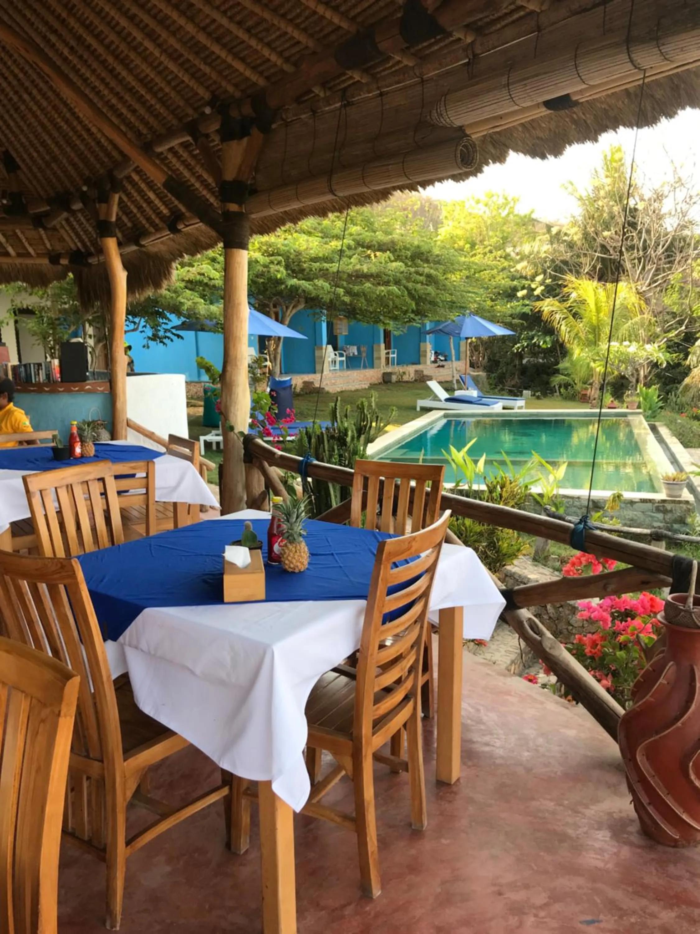 Blue Monkey Retreat Areguling Lombok