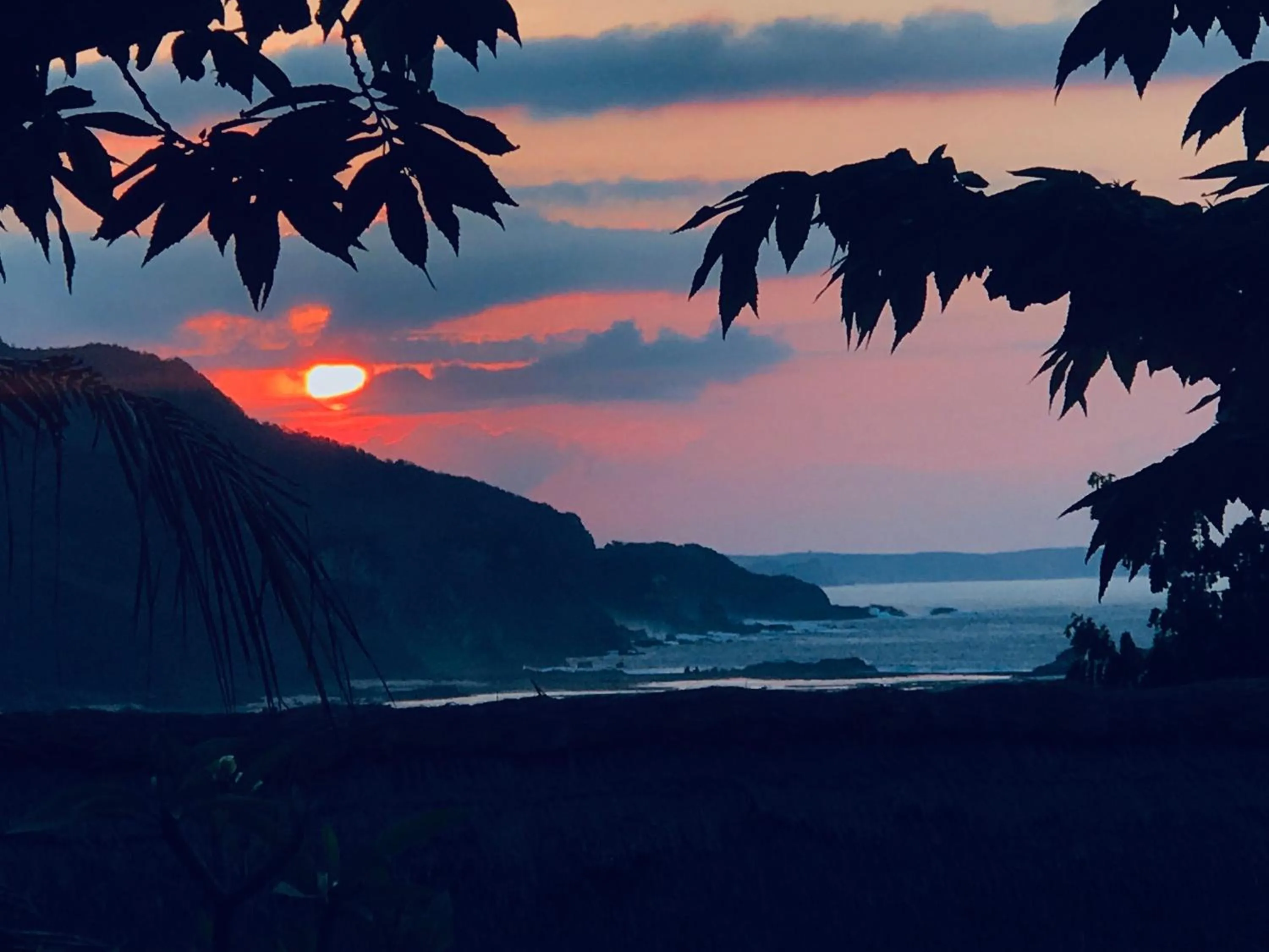 Blue Monkey Retreat Areguling Lombok