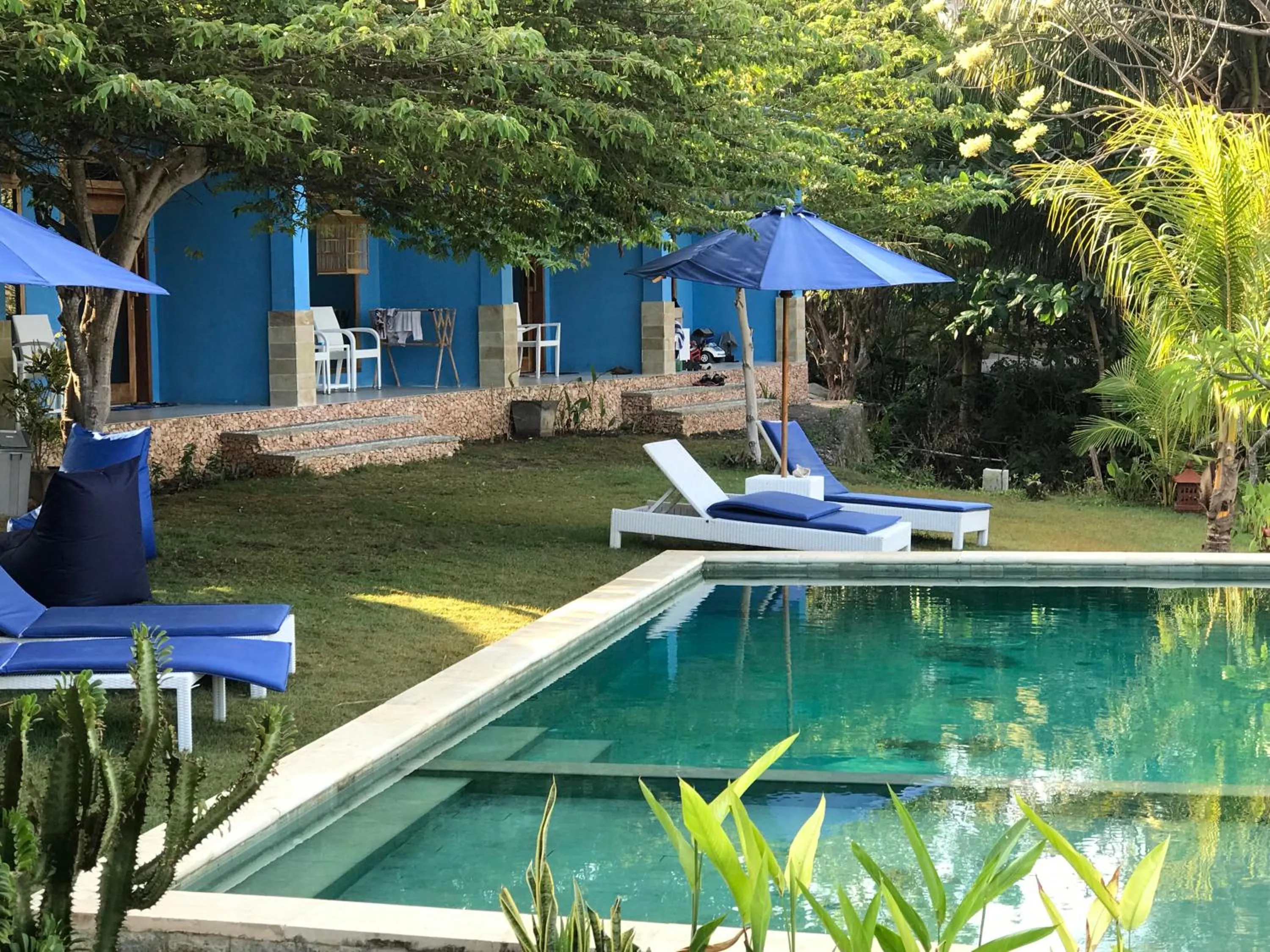 Blue Monkey Retreat Areguling Lombok