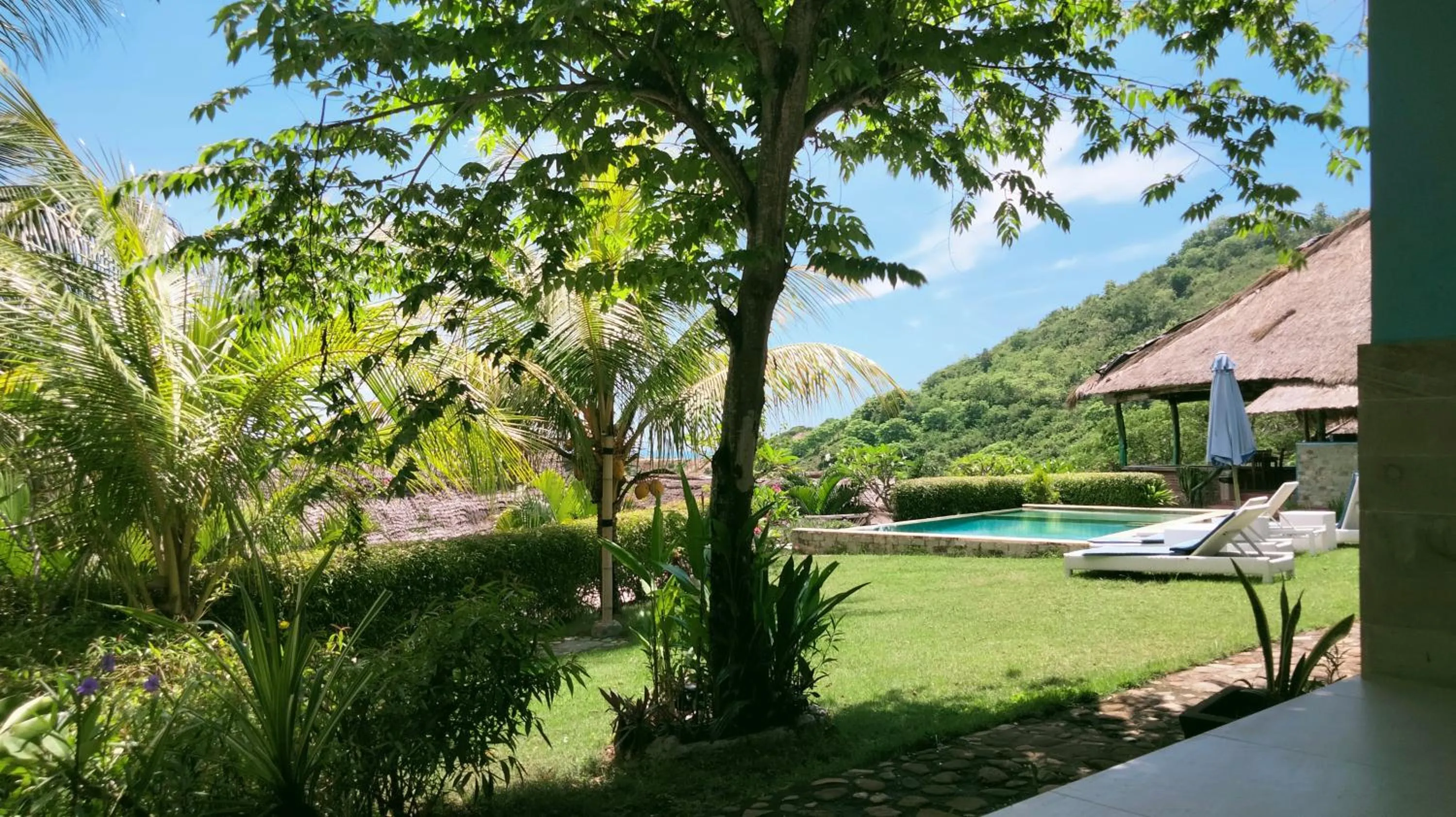 Blue Monkey Retreat Areguling Lombok