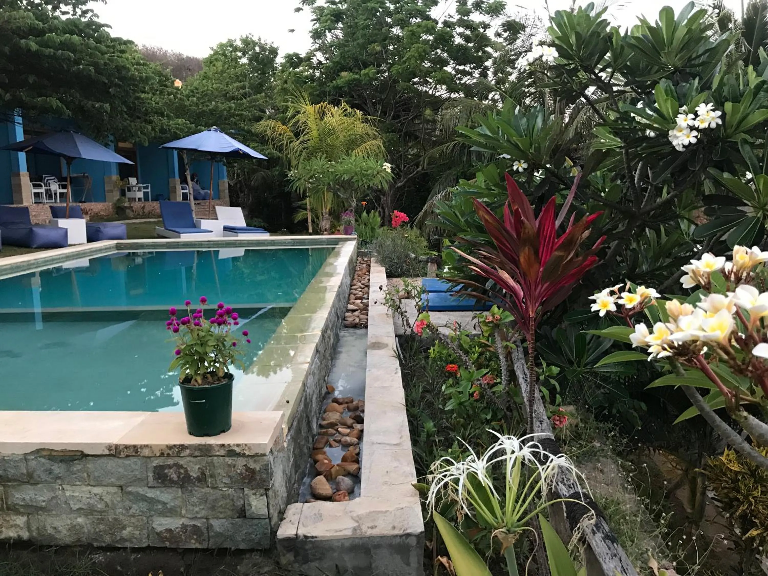Blue Monkey Retreat Areguling Lombok