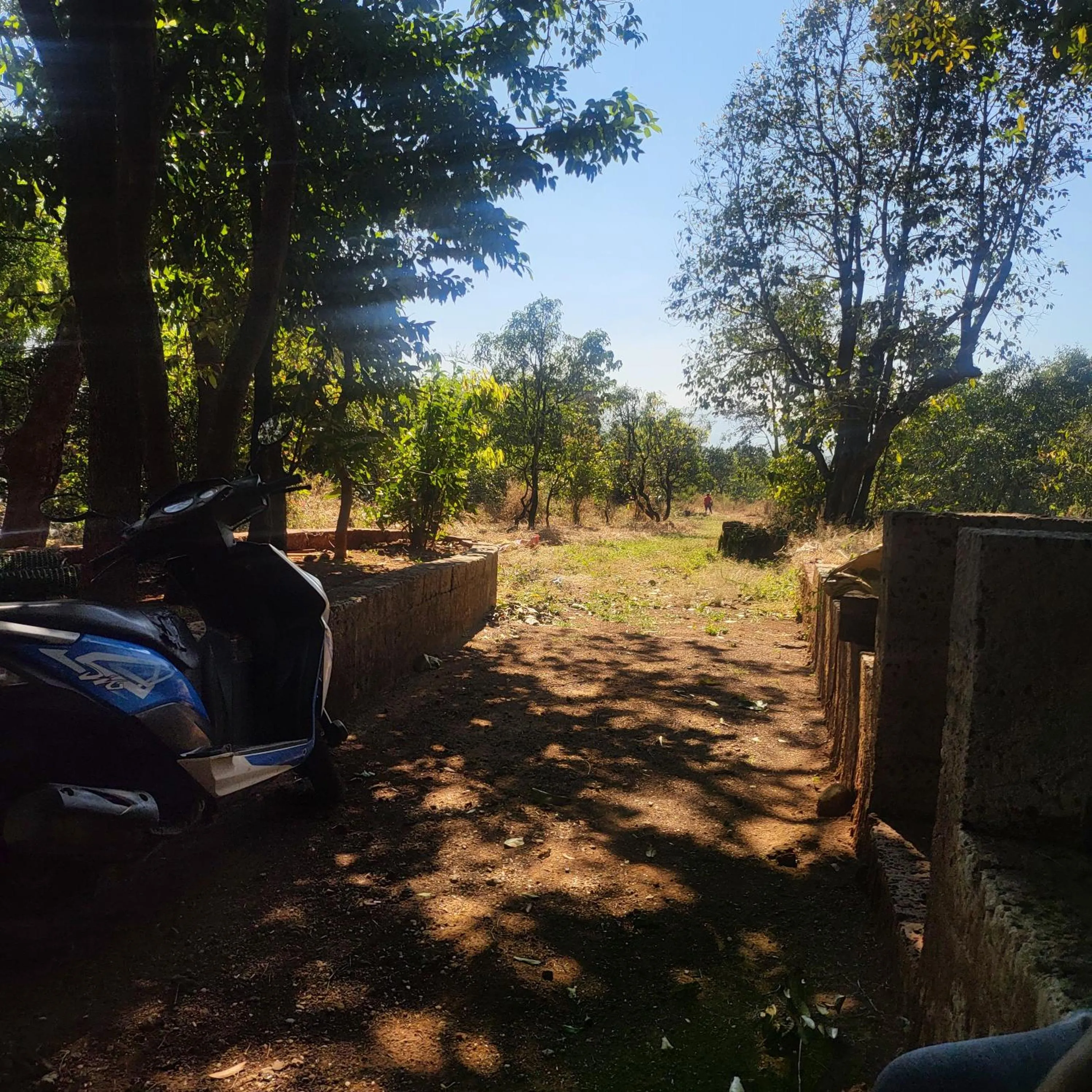 Natural landscape in The Amba Resort