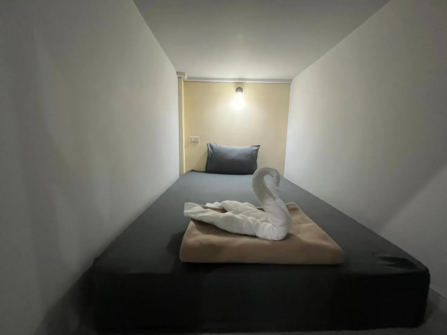 Mixed Dormitory Room in 3 TIGERS Resort & Hostel Mixed Dormitory Room in 3 TIGERS Resort & Hostel
