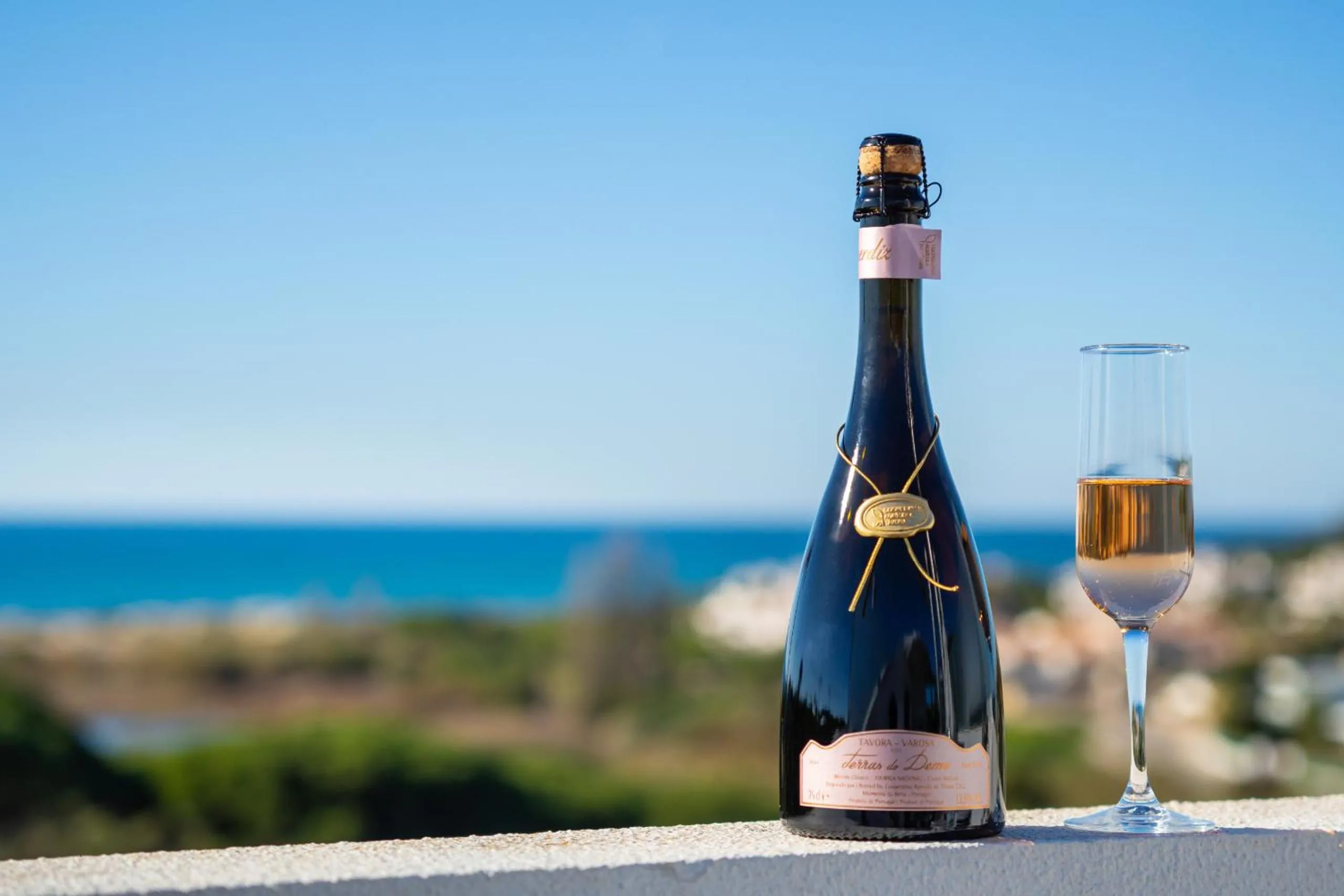 Apartment Atlantic - Vale de Lobo