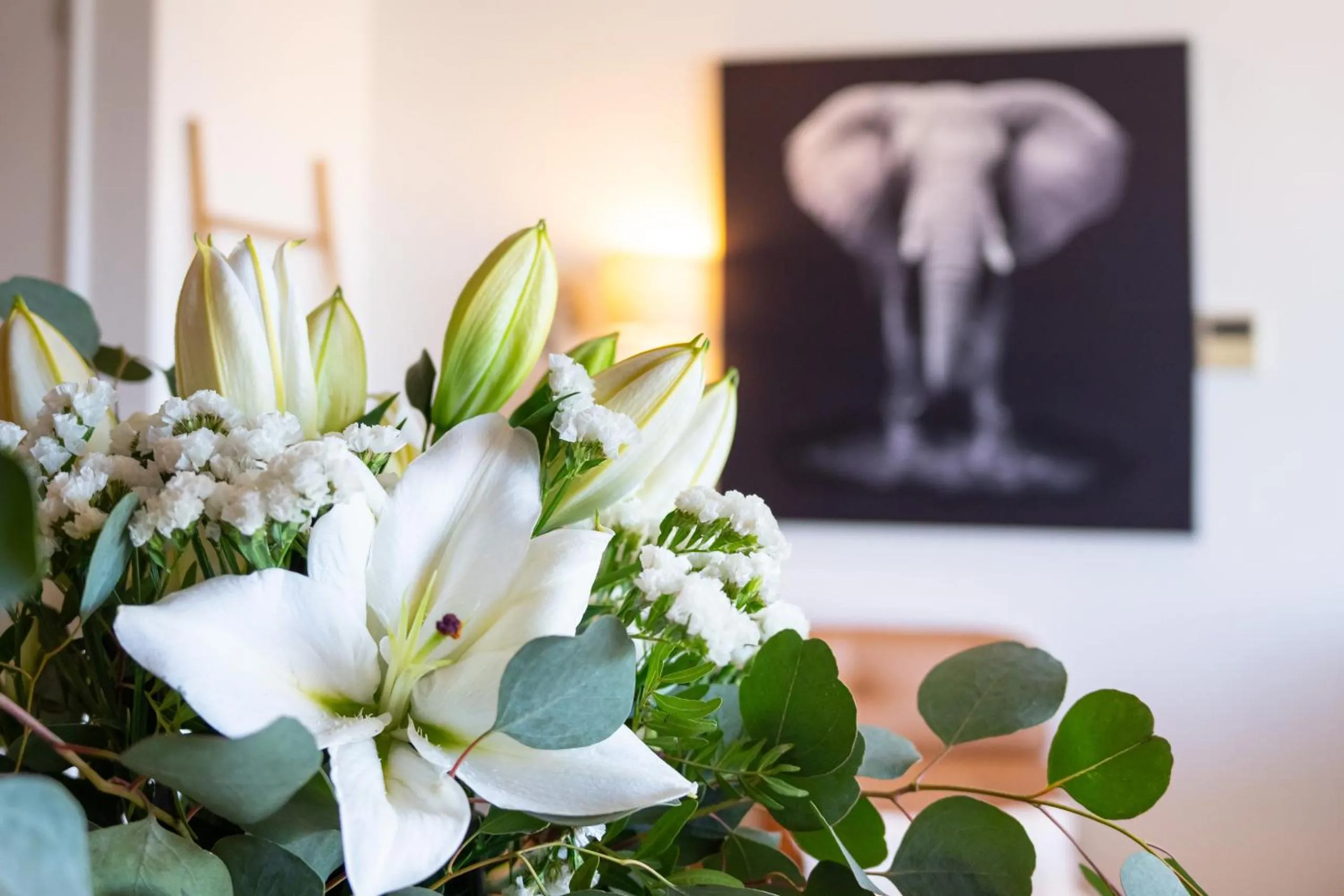 Apartment Atlantic - Vale de Lobo