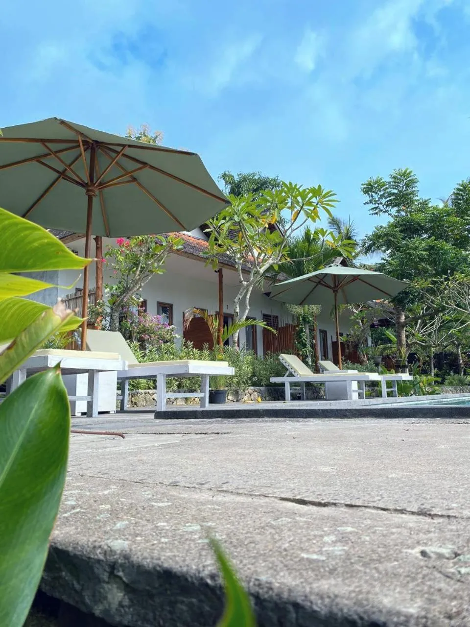 Garden view in Green Sunrise Hill View
