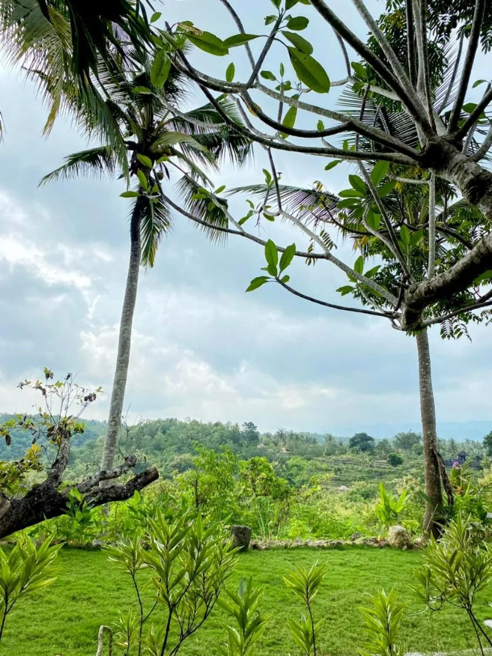 Garden view in Green Sunrise Hill View