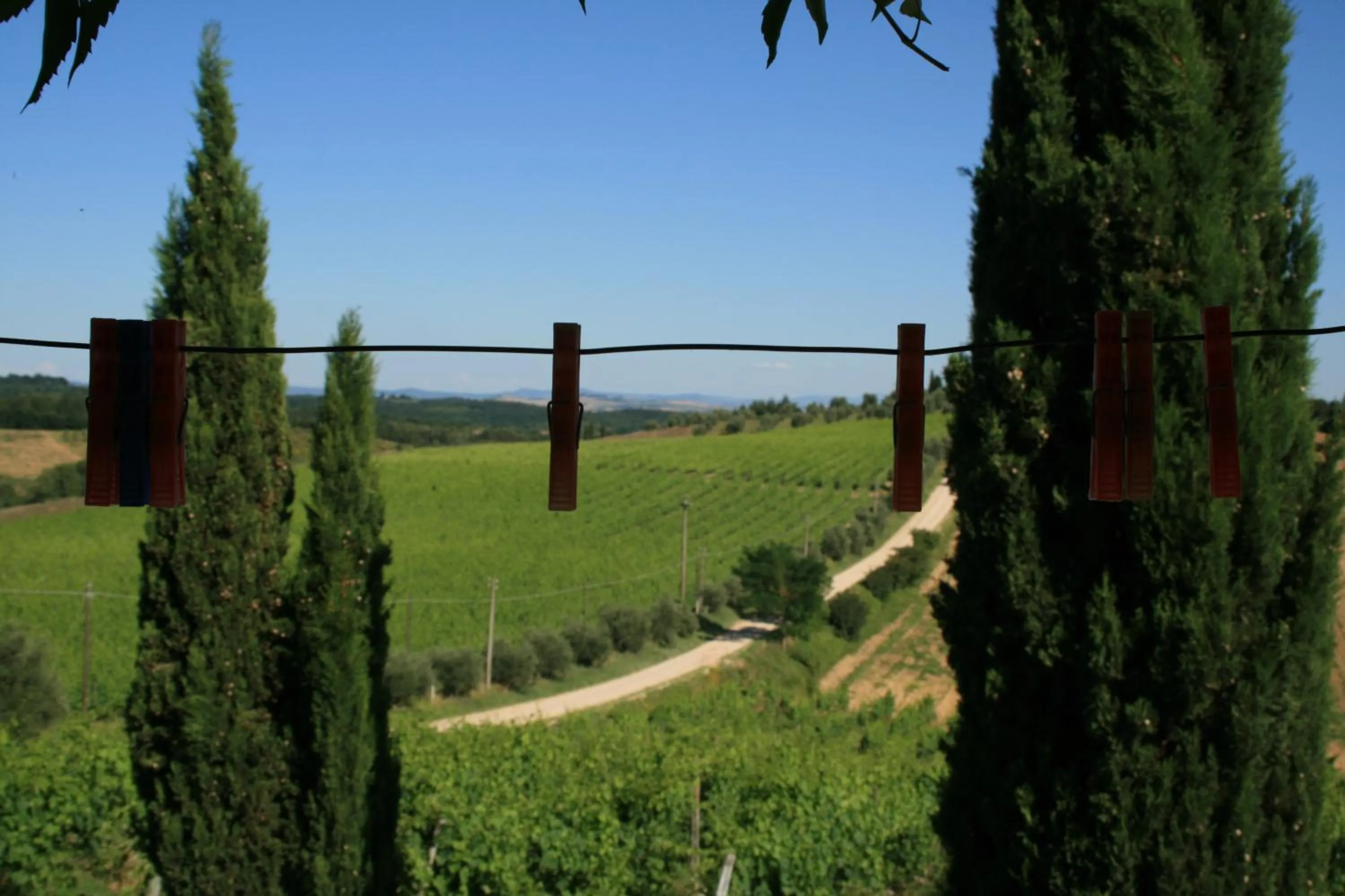 Garden view in Tenuta Di Monaciano