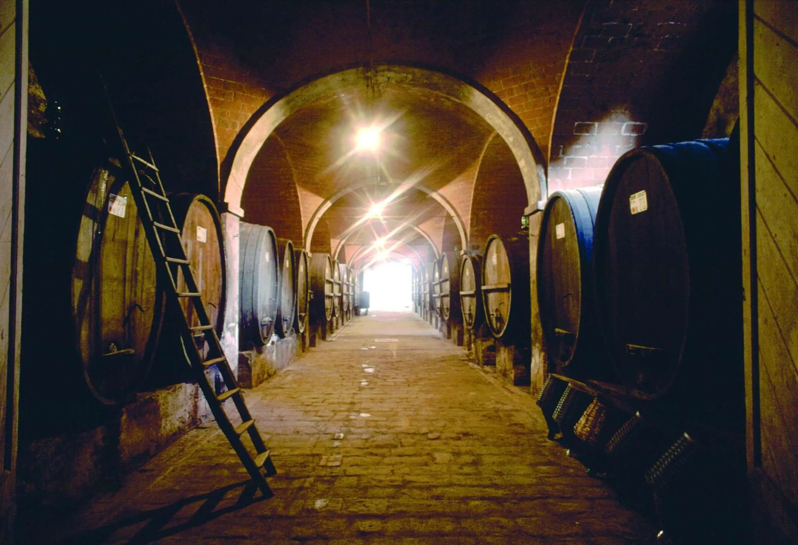 Property building in Tenuta Di Monaciano