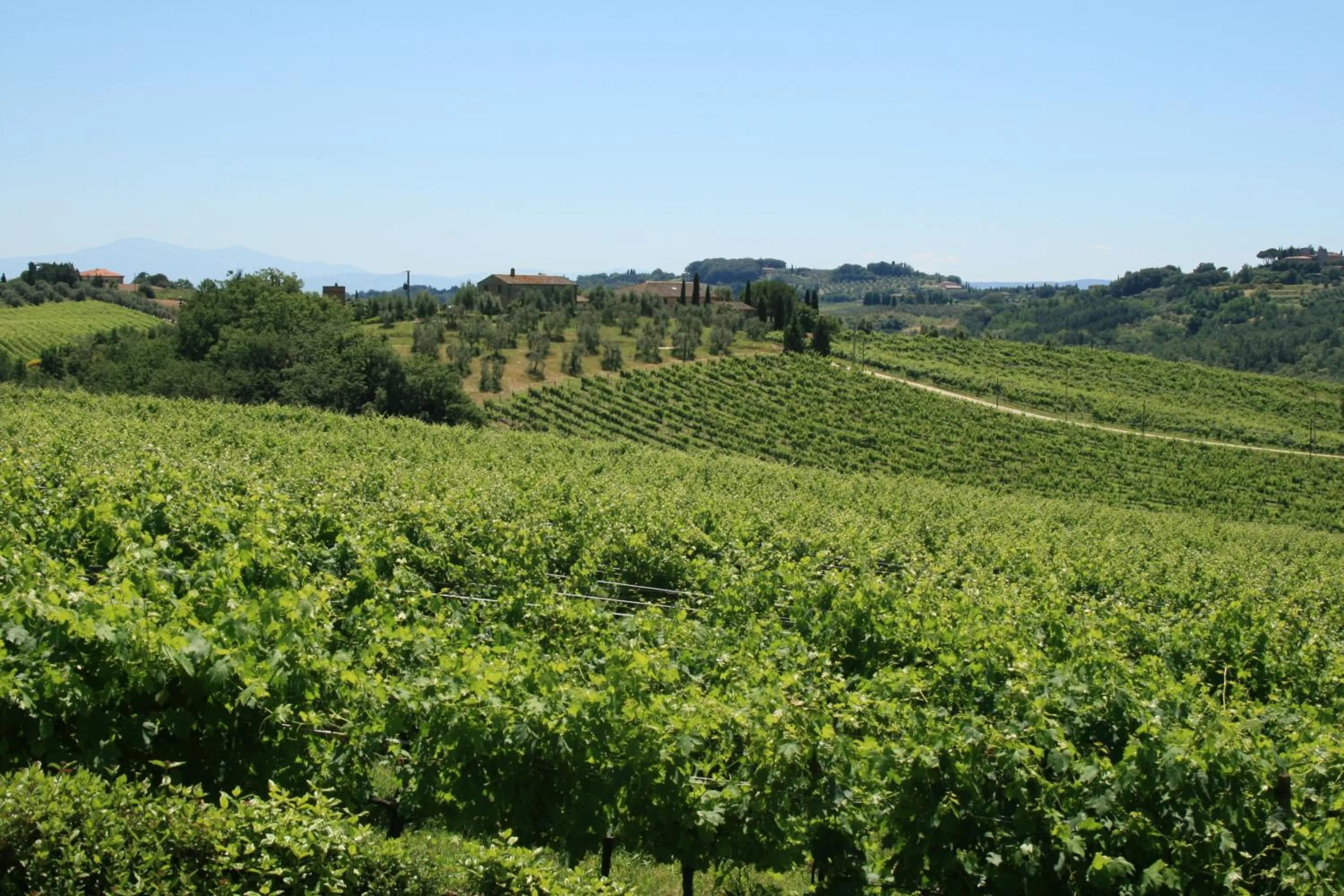 Garden view in Tenuta Di Monaciano