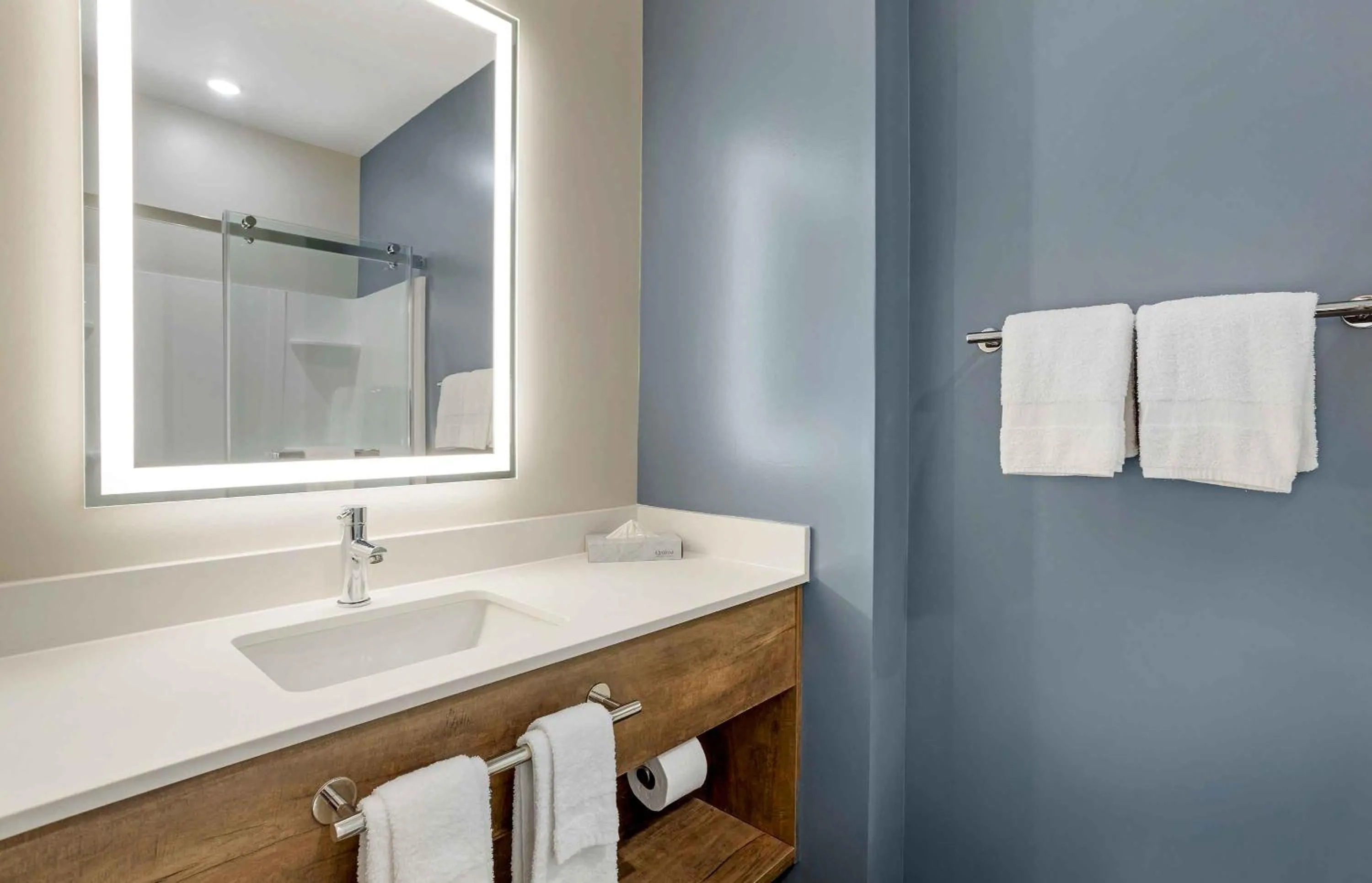 Bathroom in Extended Stay America Premier Suites - Bradenton