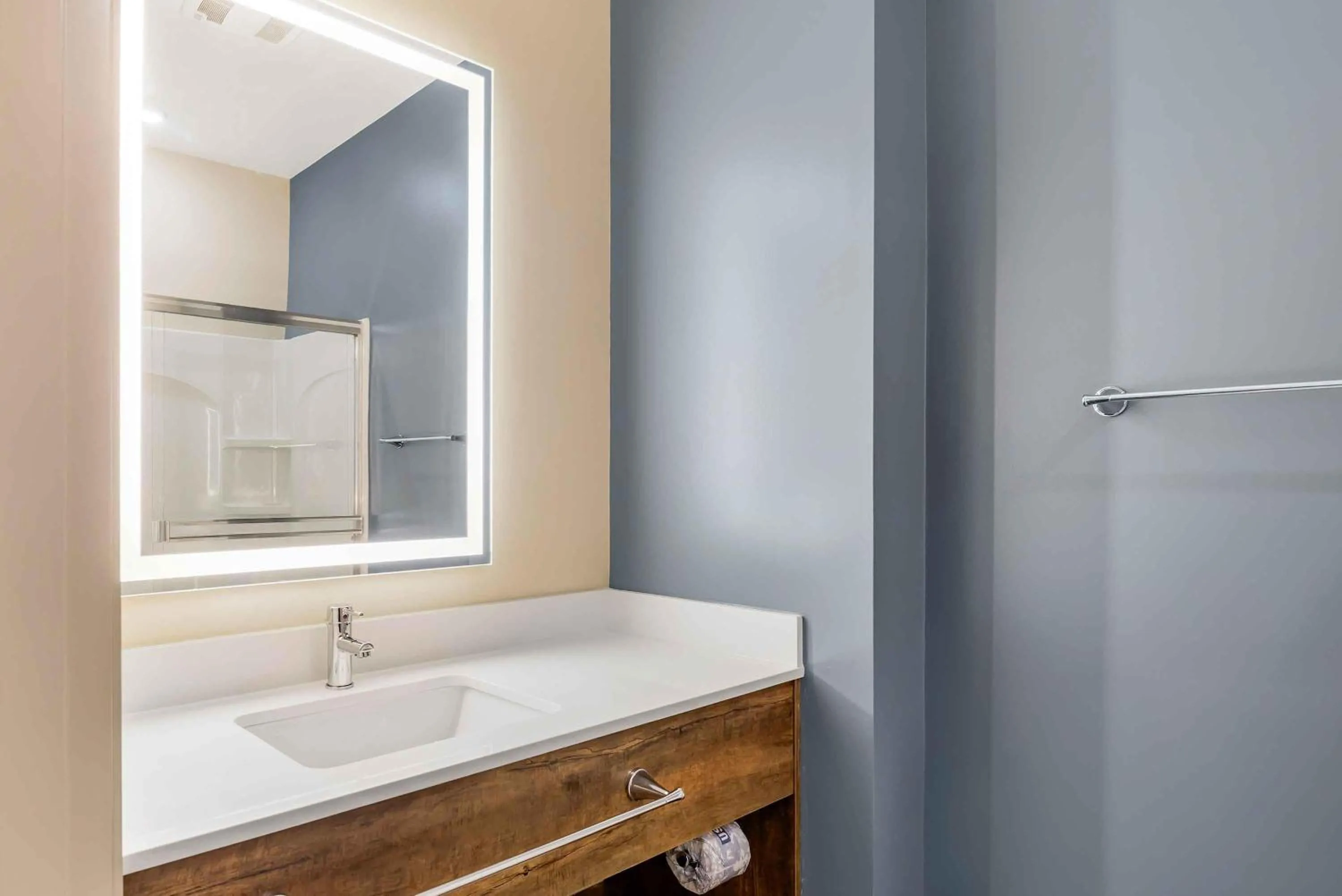 Bathroom in Extended Stay America Premier Suites - Charlottesville