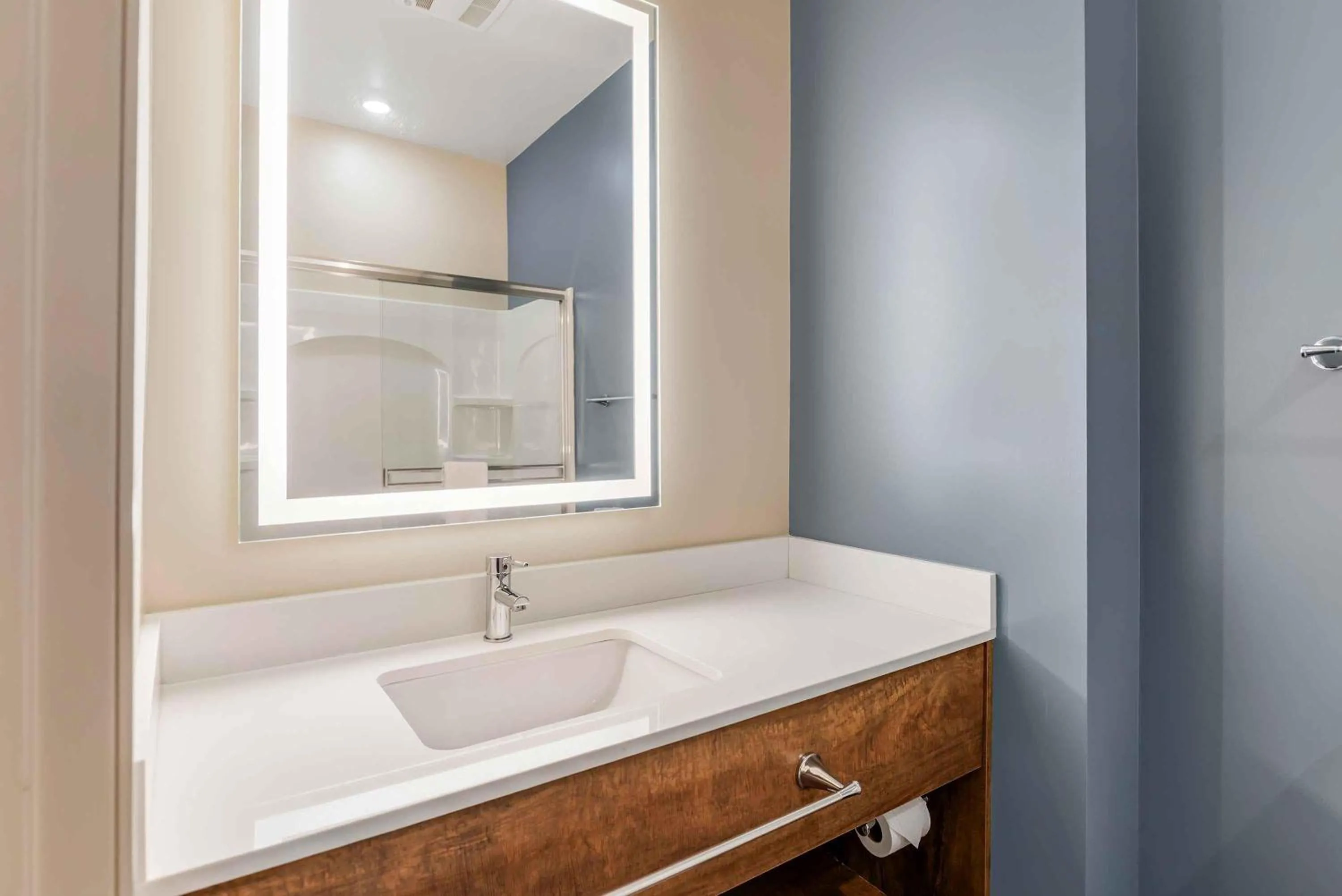 Bathroom in Extended Stay America Premier Suites - Charlottesville