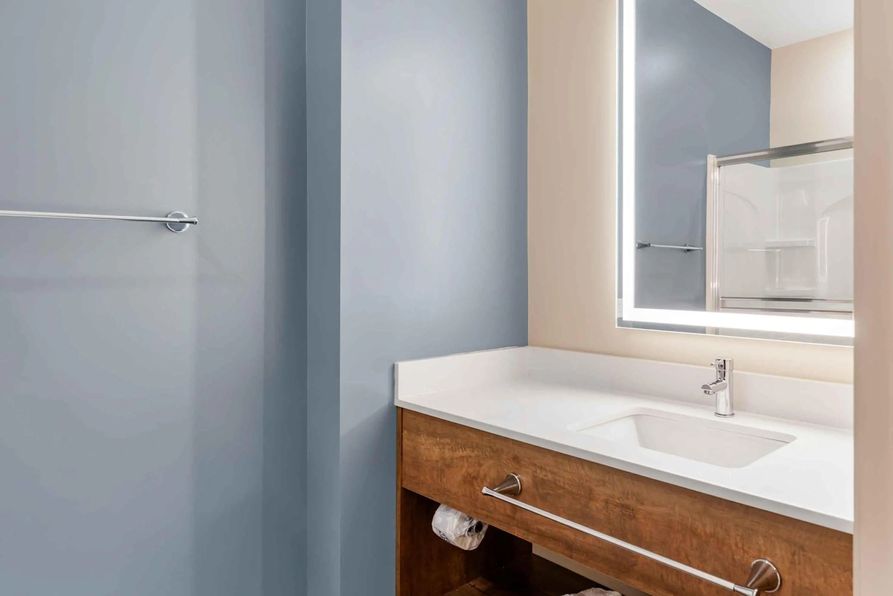 Bathroom in Extended Stay America Premier Suites - Charlottesville