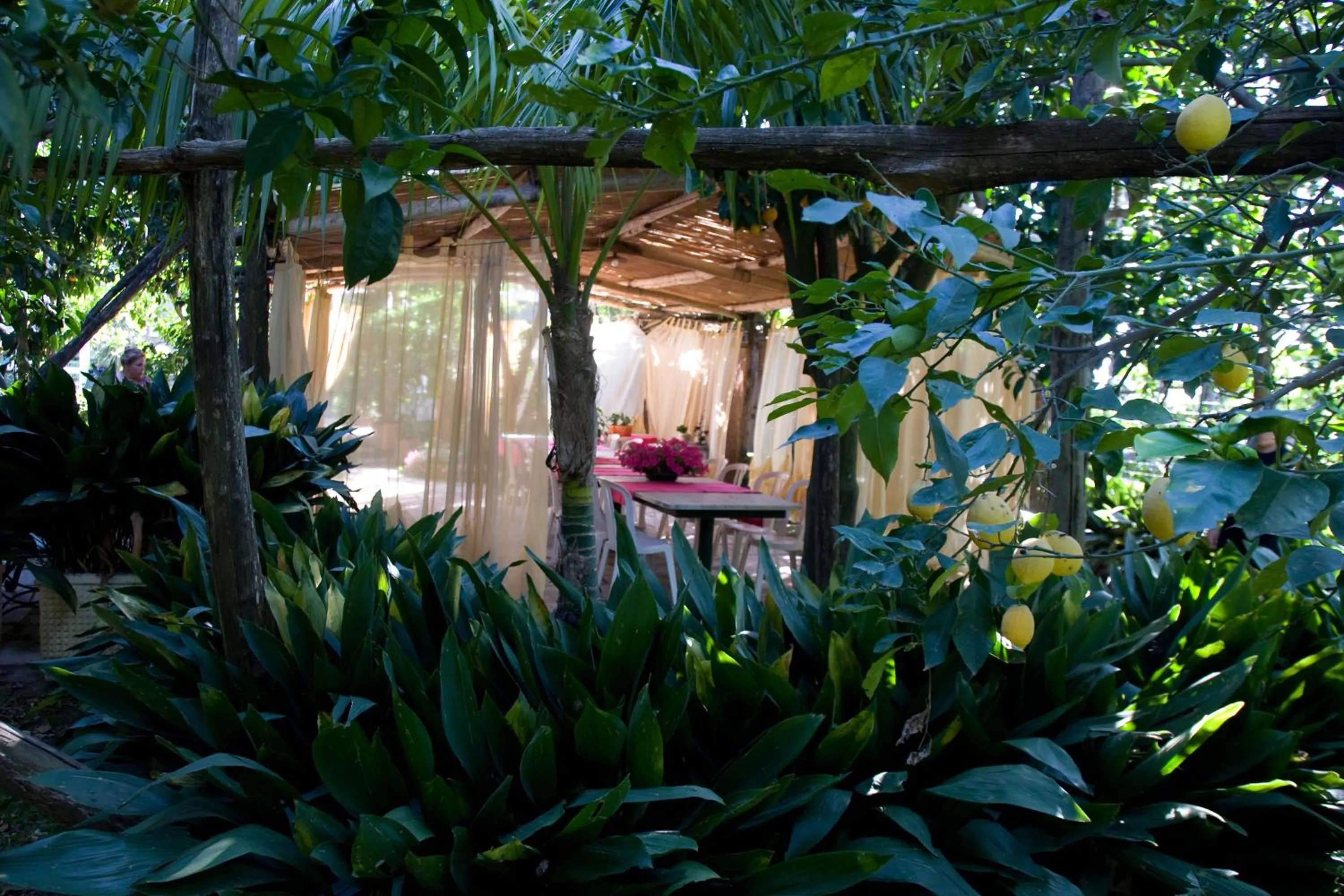 Garden in Villa Maresca B&B