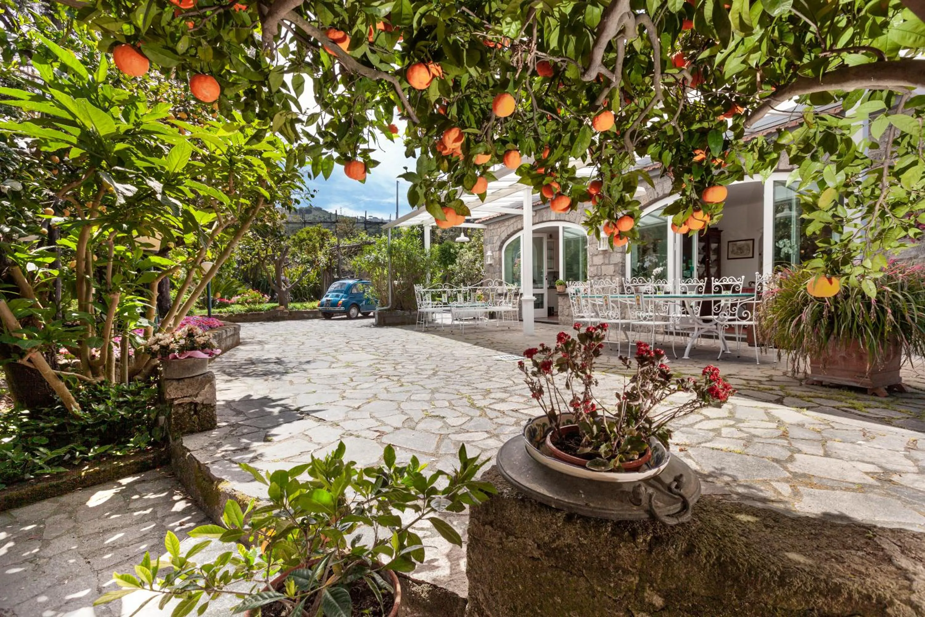 Garden in Villa Maresca B&B