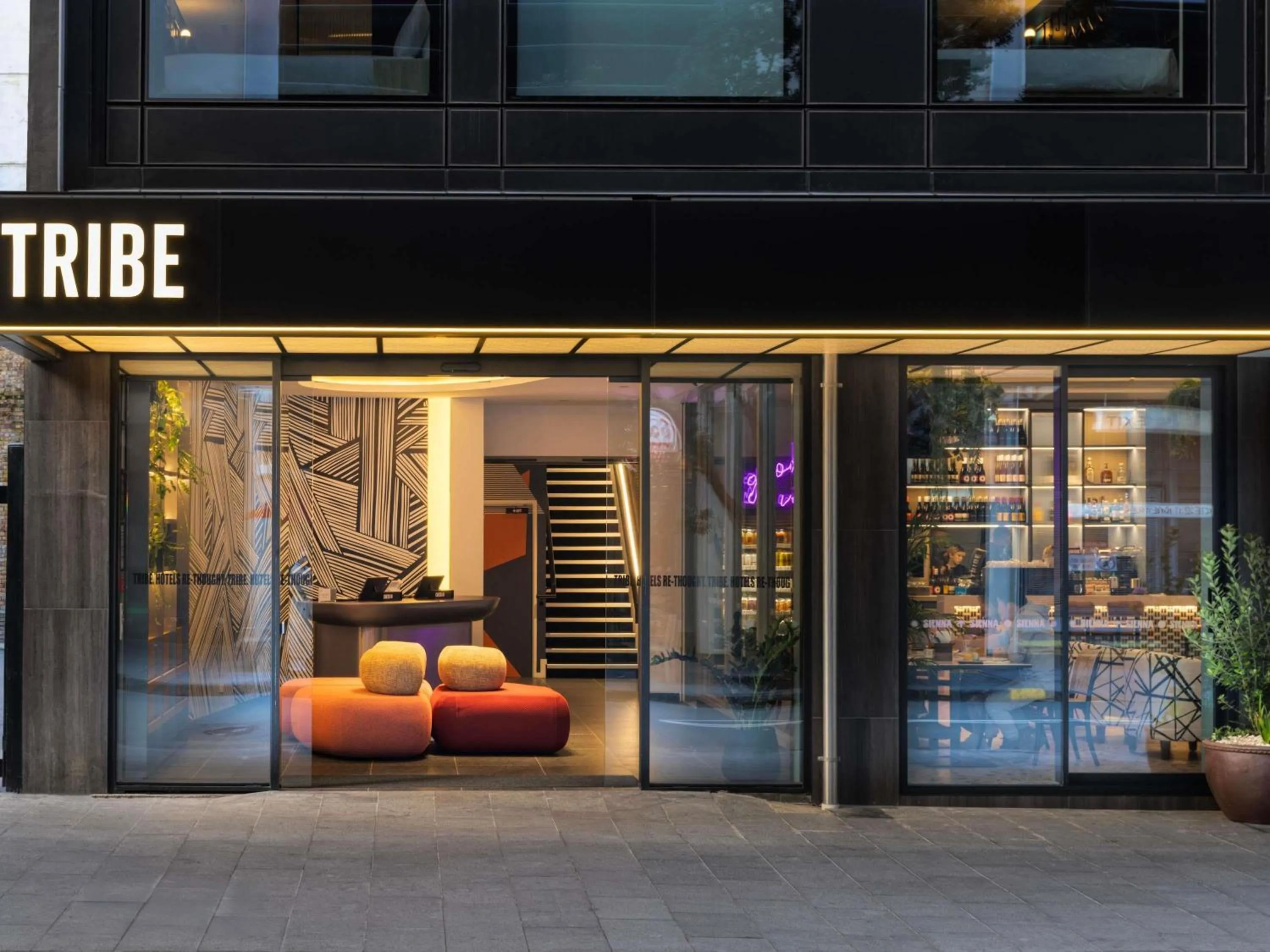 Other in TRIBE Auckland