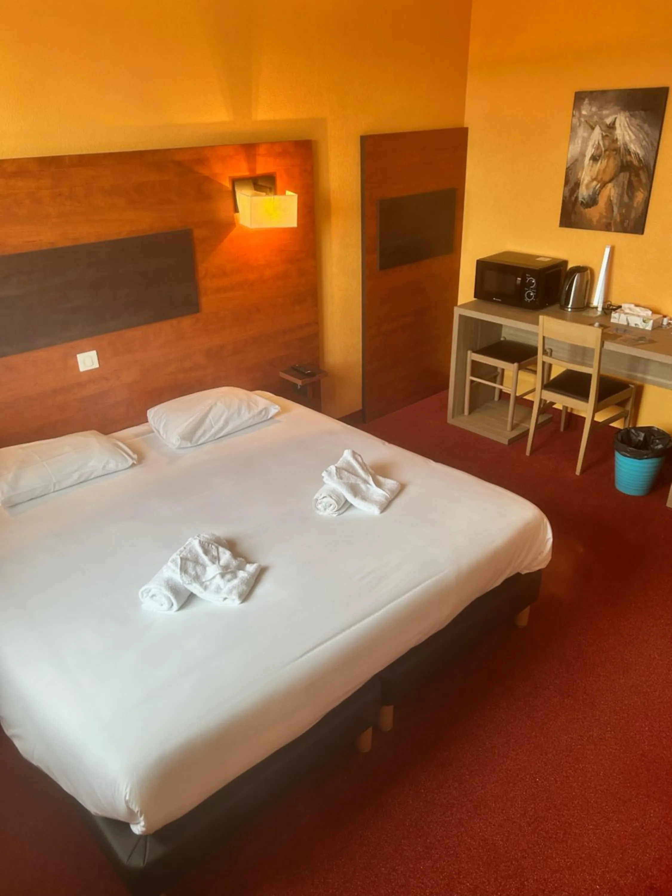 Photo of the whole room, Bed in Hôtel Particulier LE MAS DES MARAIS