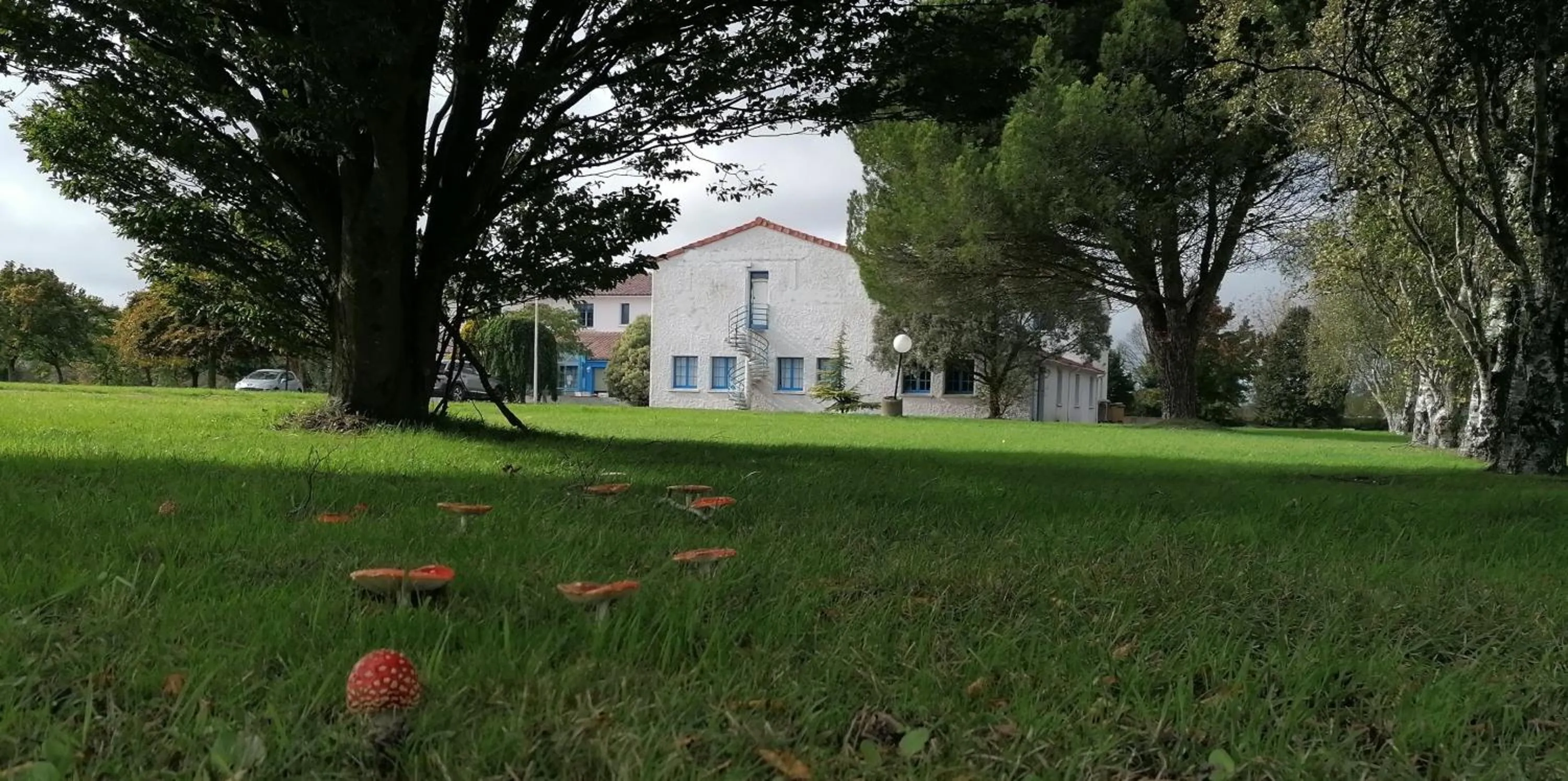 Property building in Hôtel Particulier LE MAS DES MARAIS