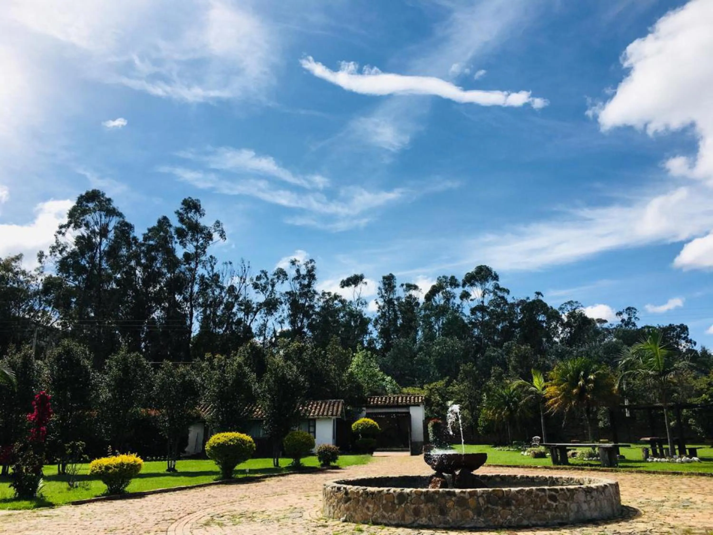 Garden in Hotel Boutique La Carreta