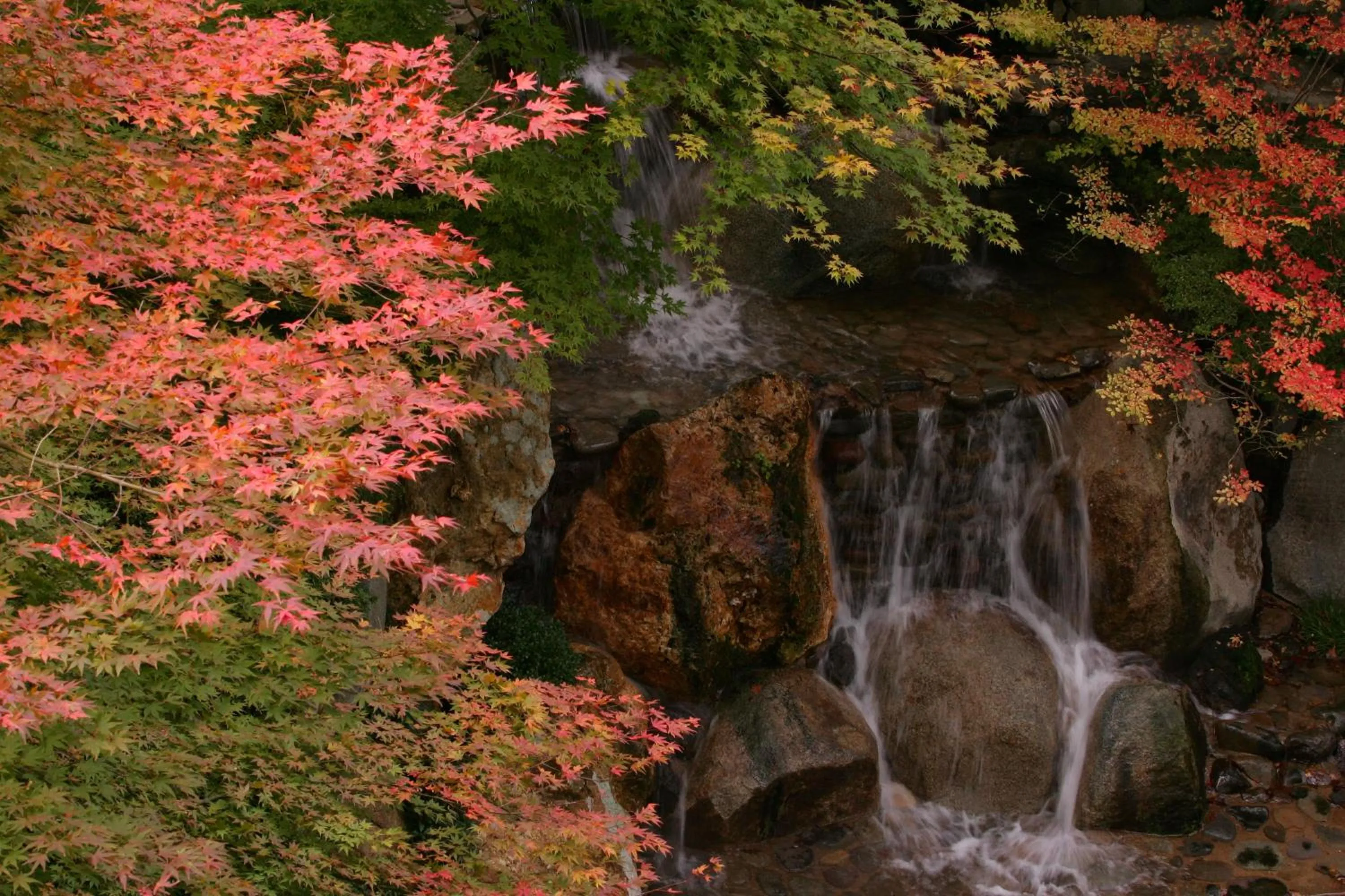 Natural landscape in Sakan