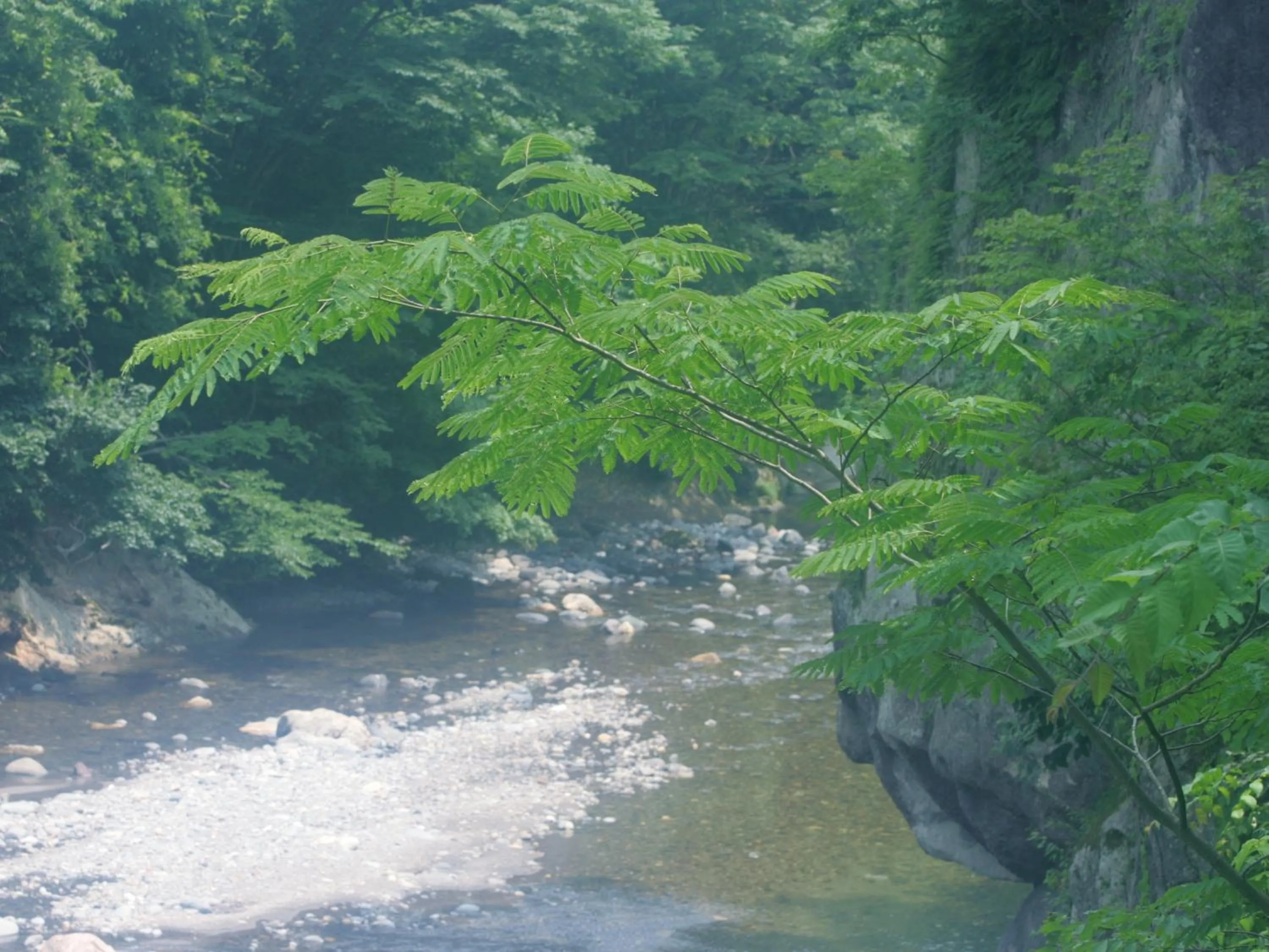 Natural landscape in Sakan