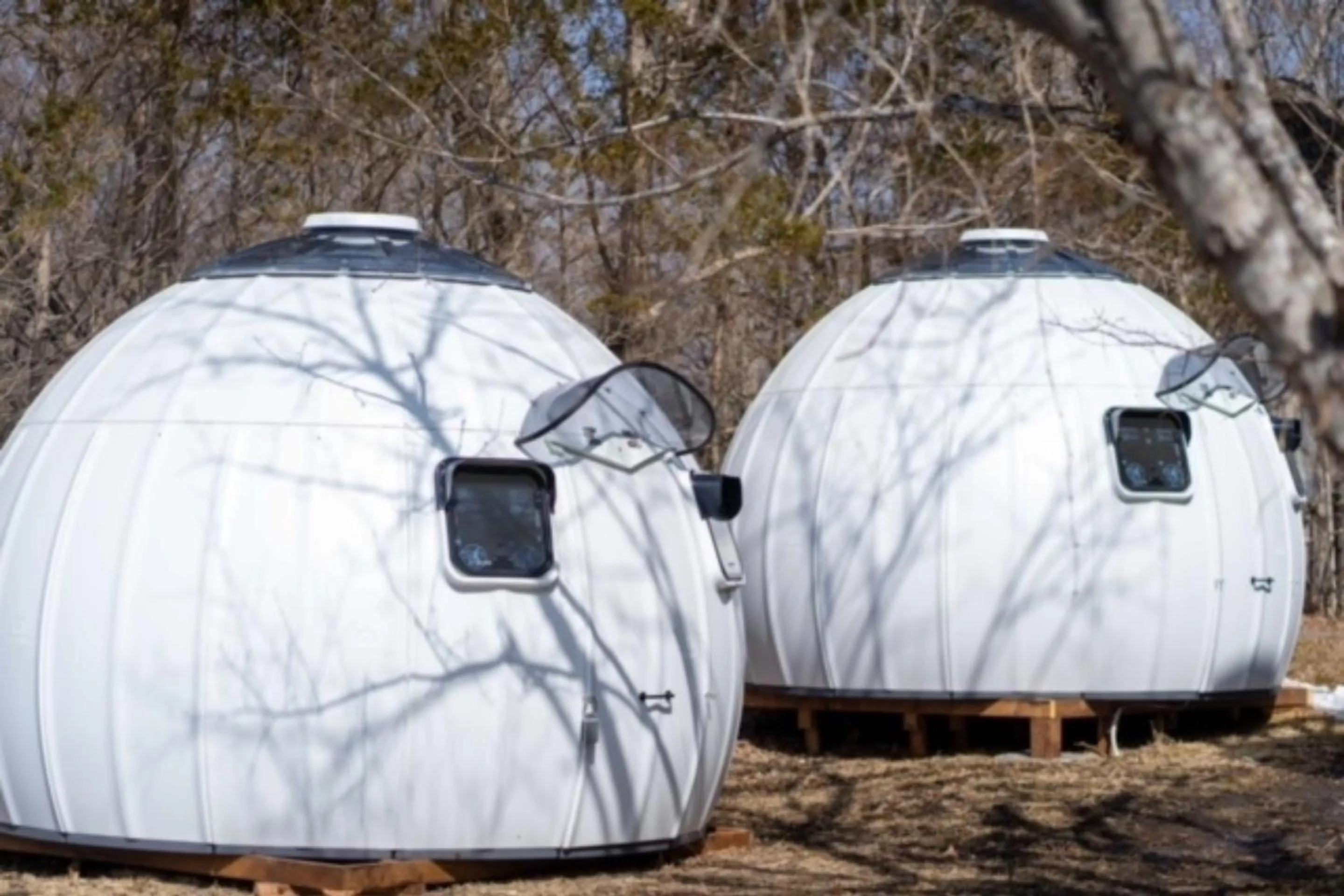 Photo of the whole room in Human resort