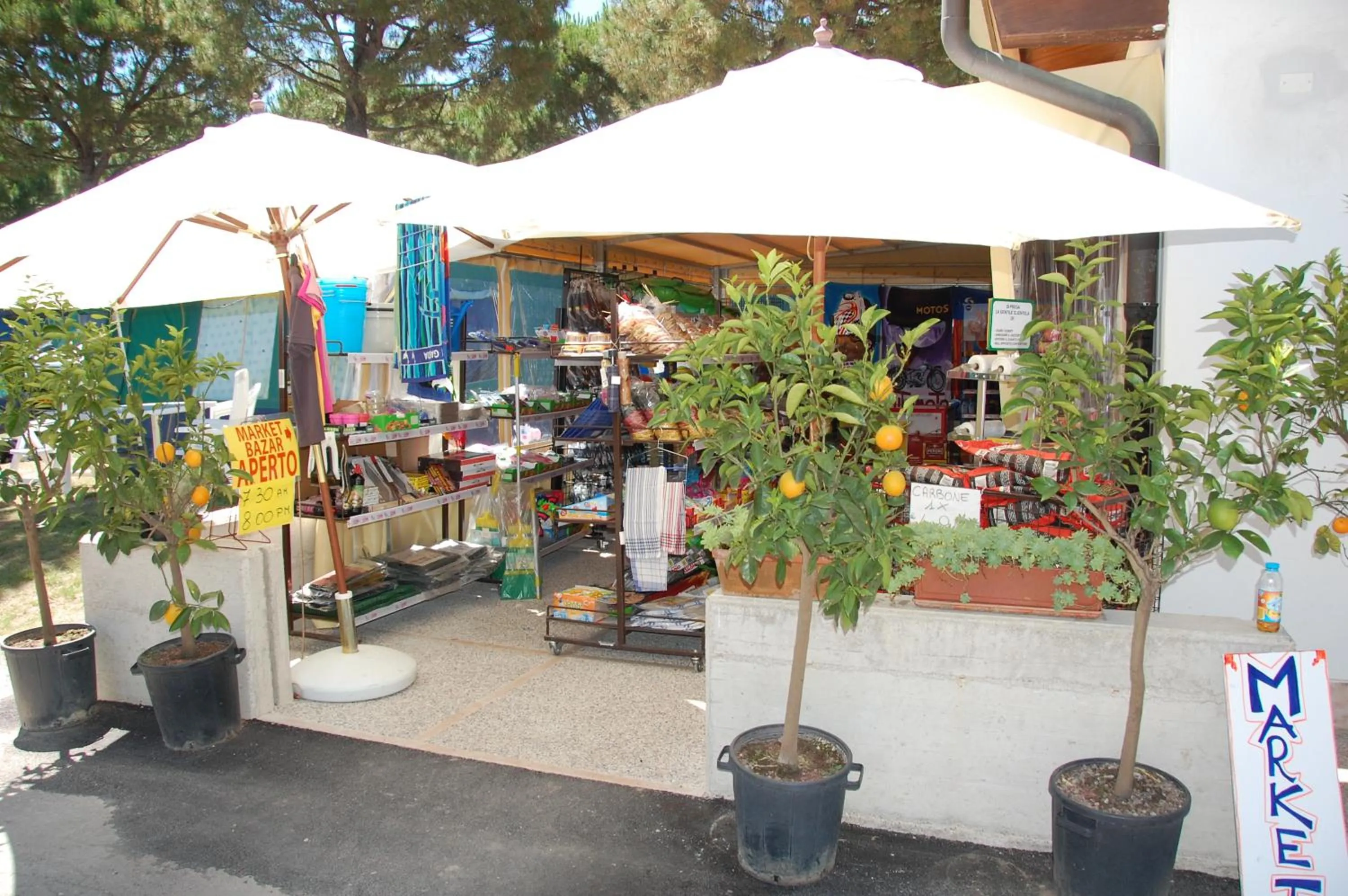 Day in Campeggio del Garda