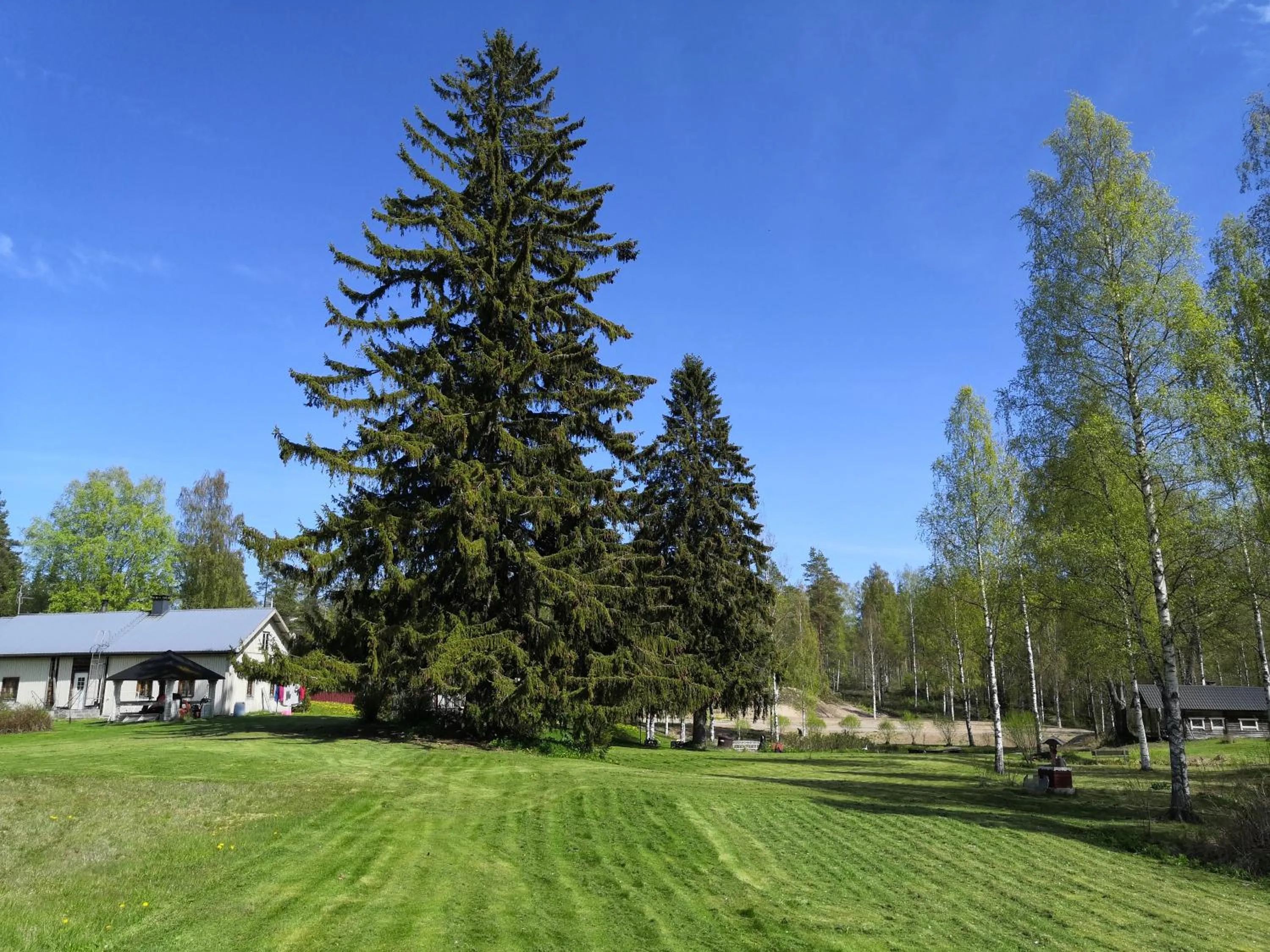Natural landscape in Hostel Mansikka
