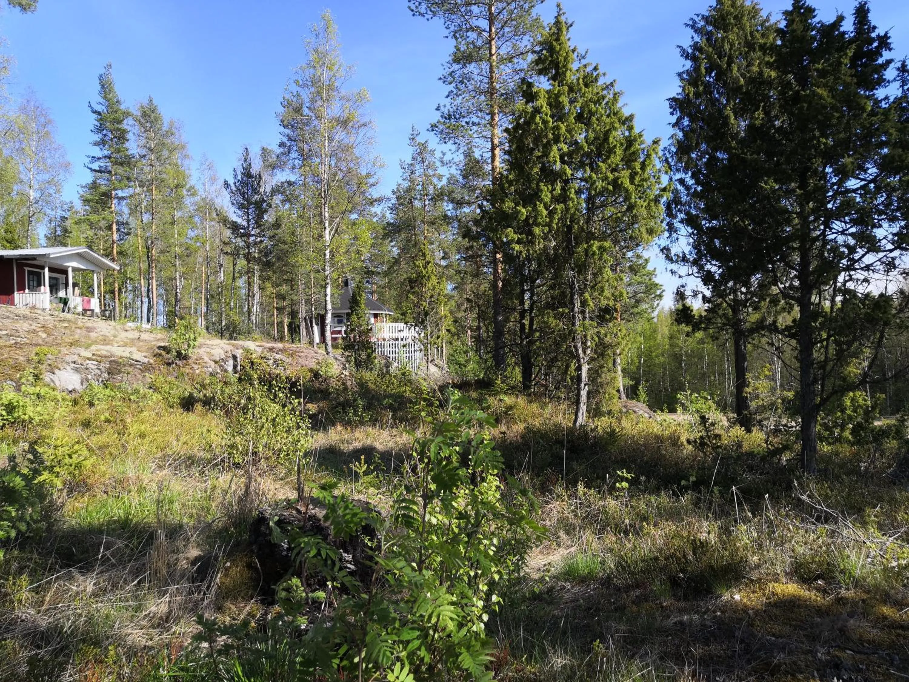Natural landscape in Hostel Mansikka