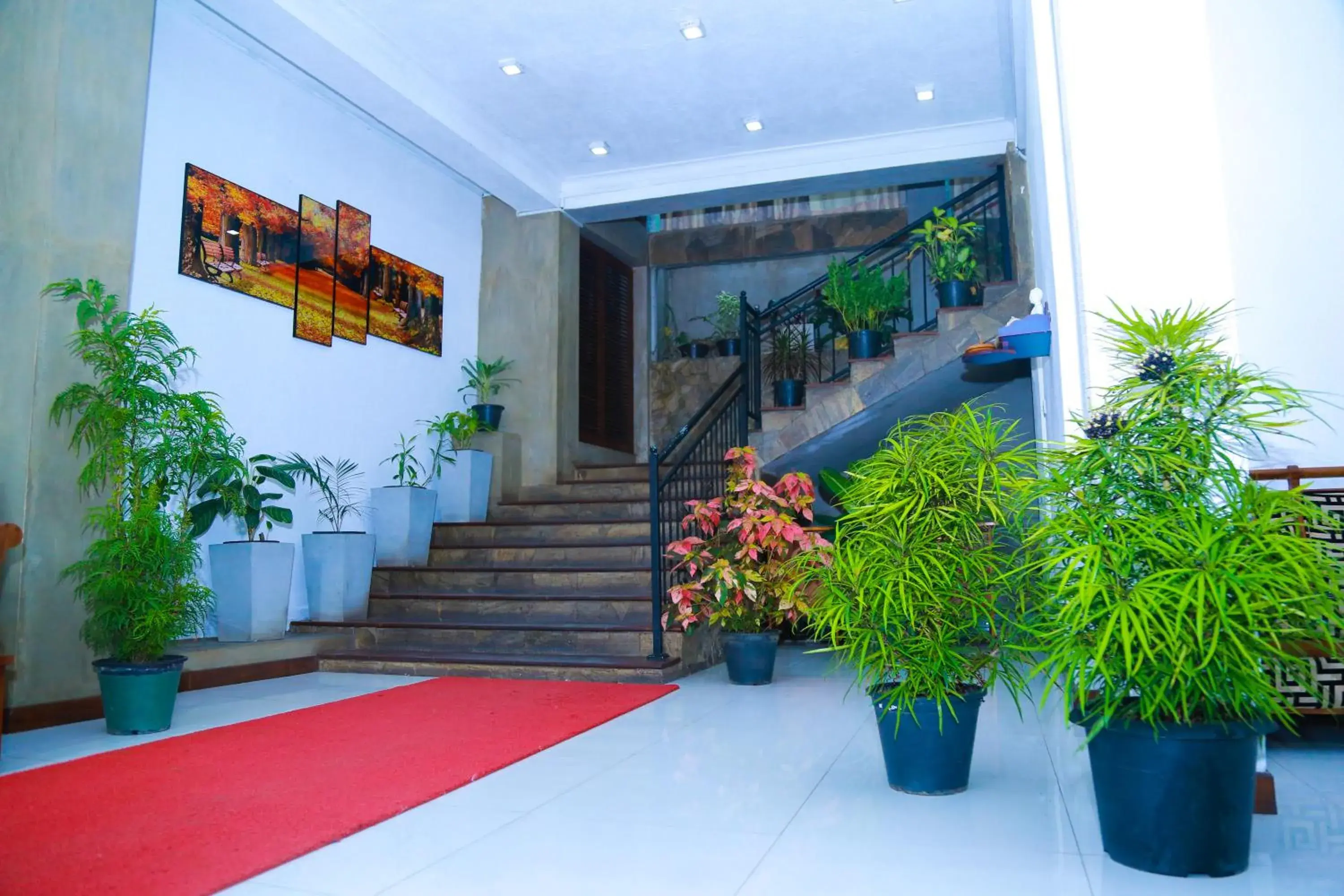 Facade/entrance in Elegance Range Resort Facade/entrance in Elegance Range Resort