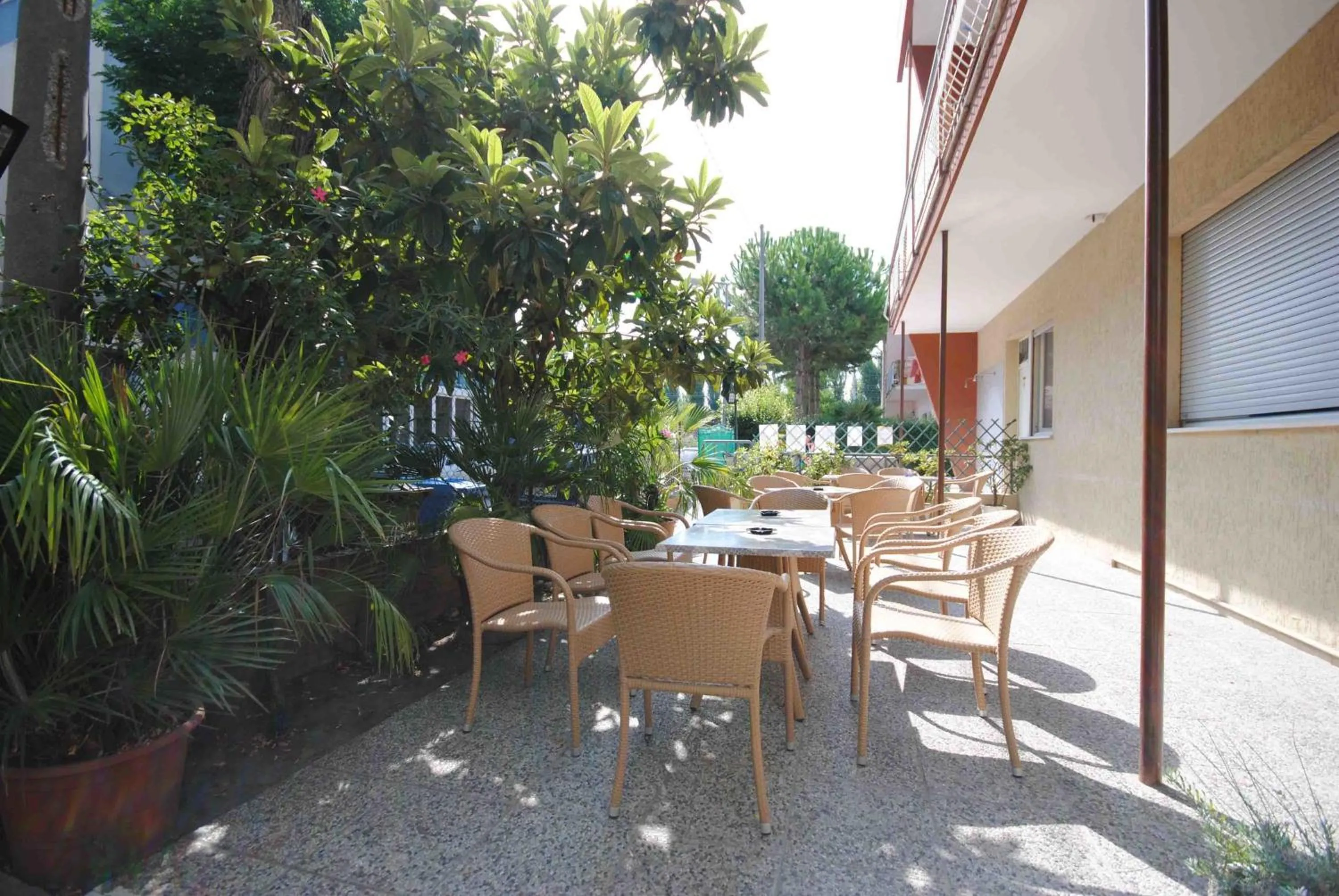 Garden in Hotel Pacific