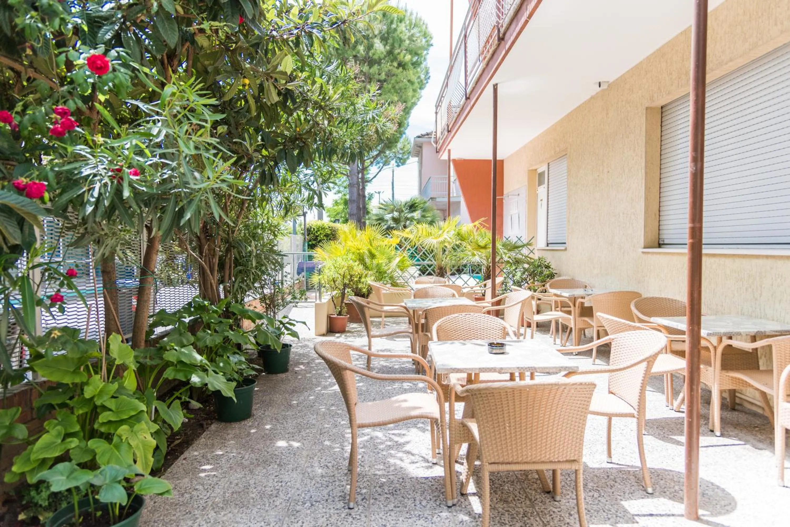 Hotel Pacific