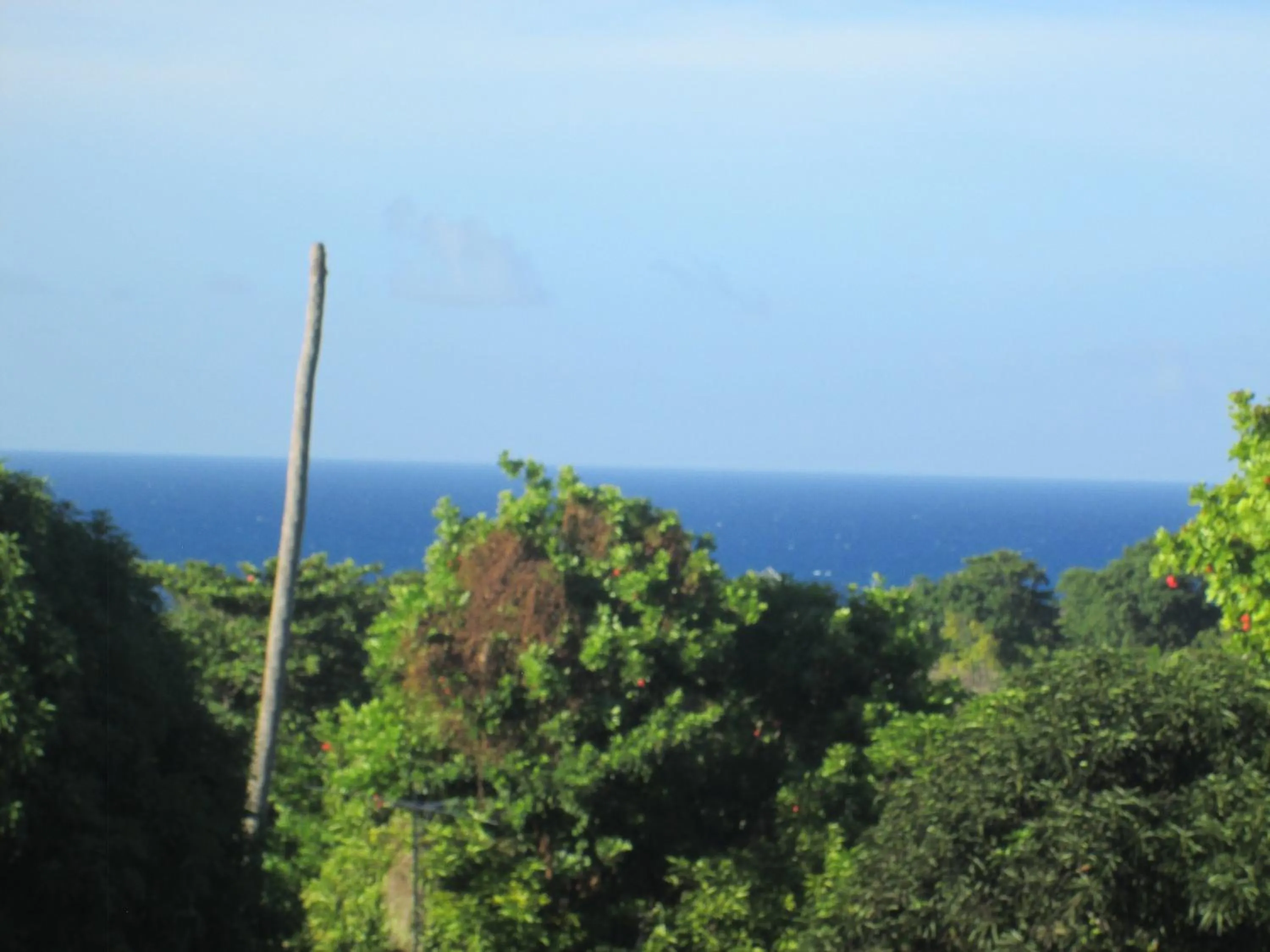 Sea view in Paradise Inn