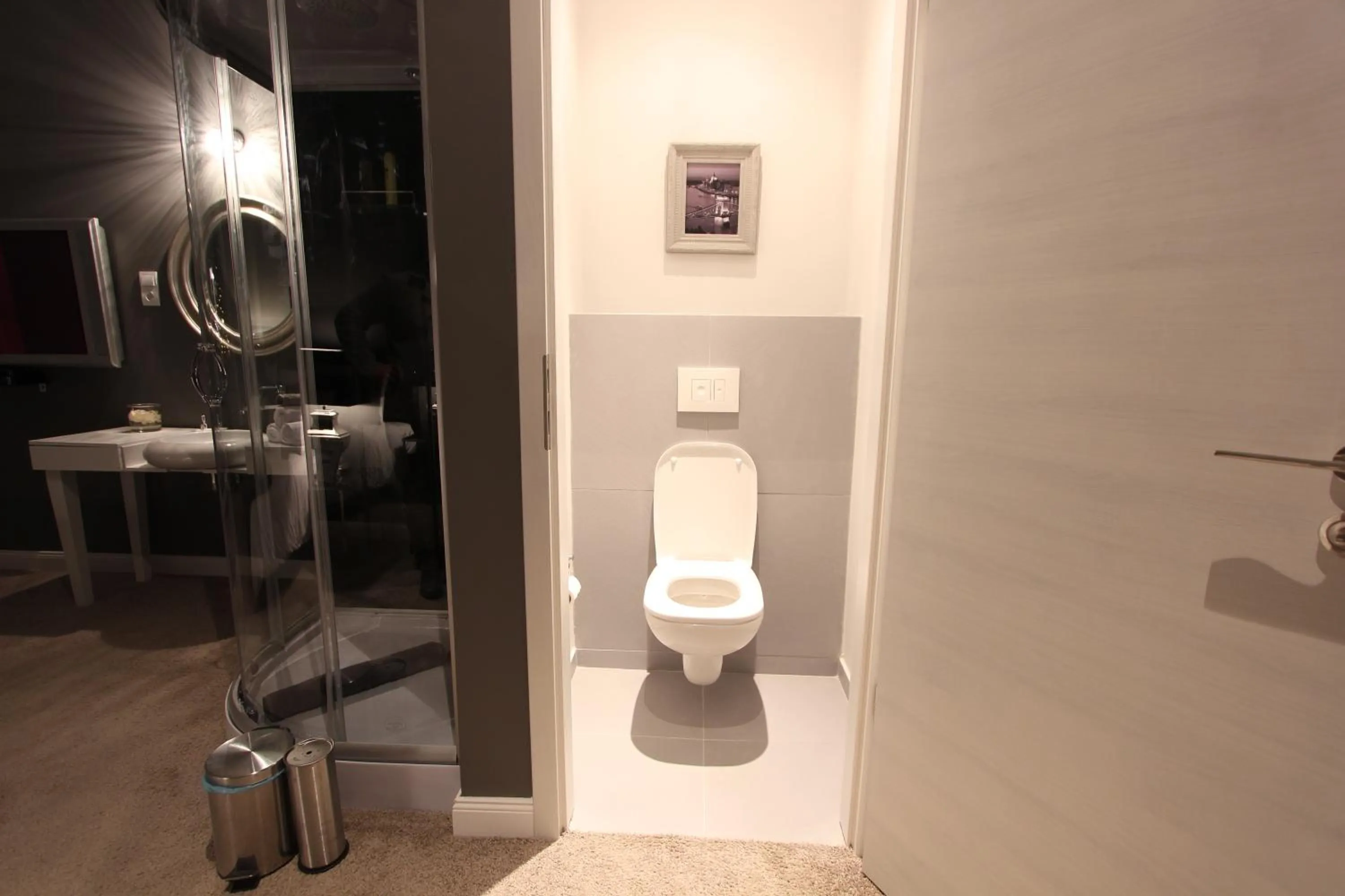Toilet in Balance Home