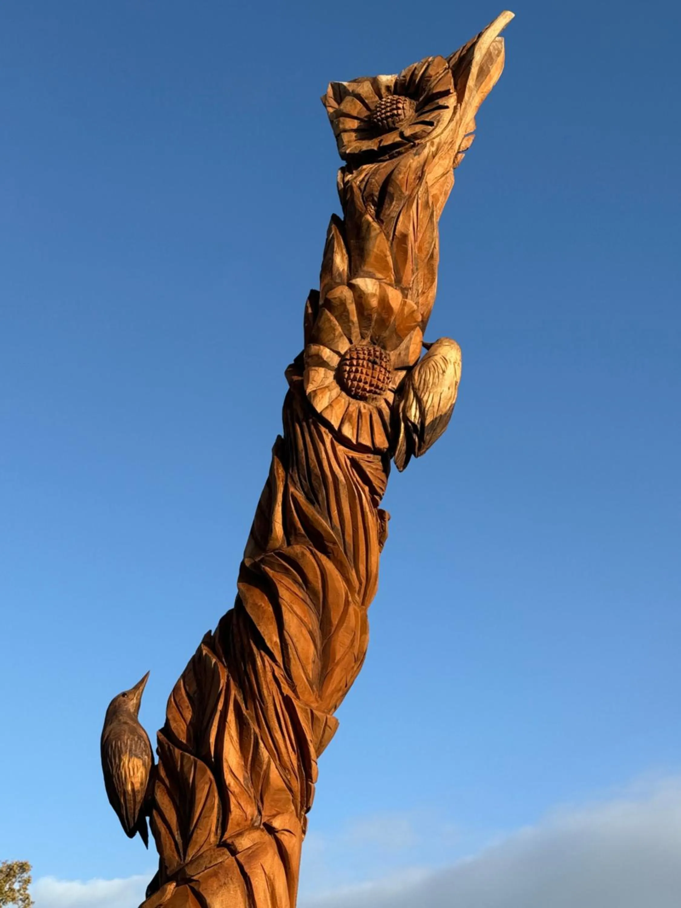 Garden view in Orchard Side Bed and Breakfast