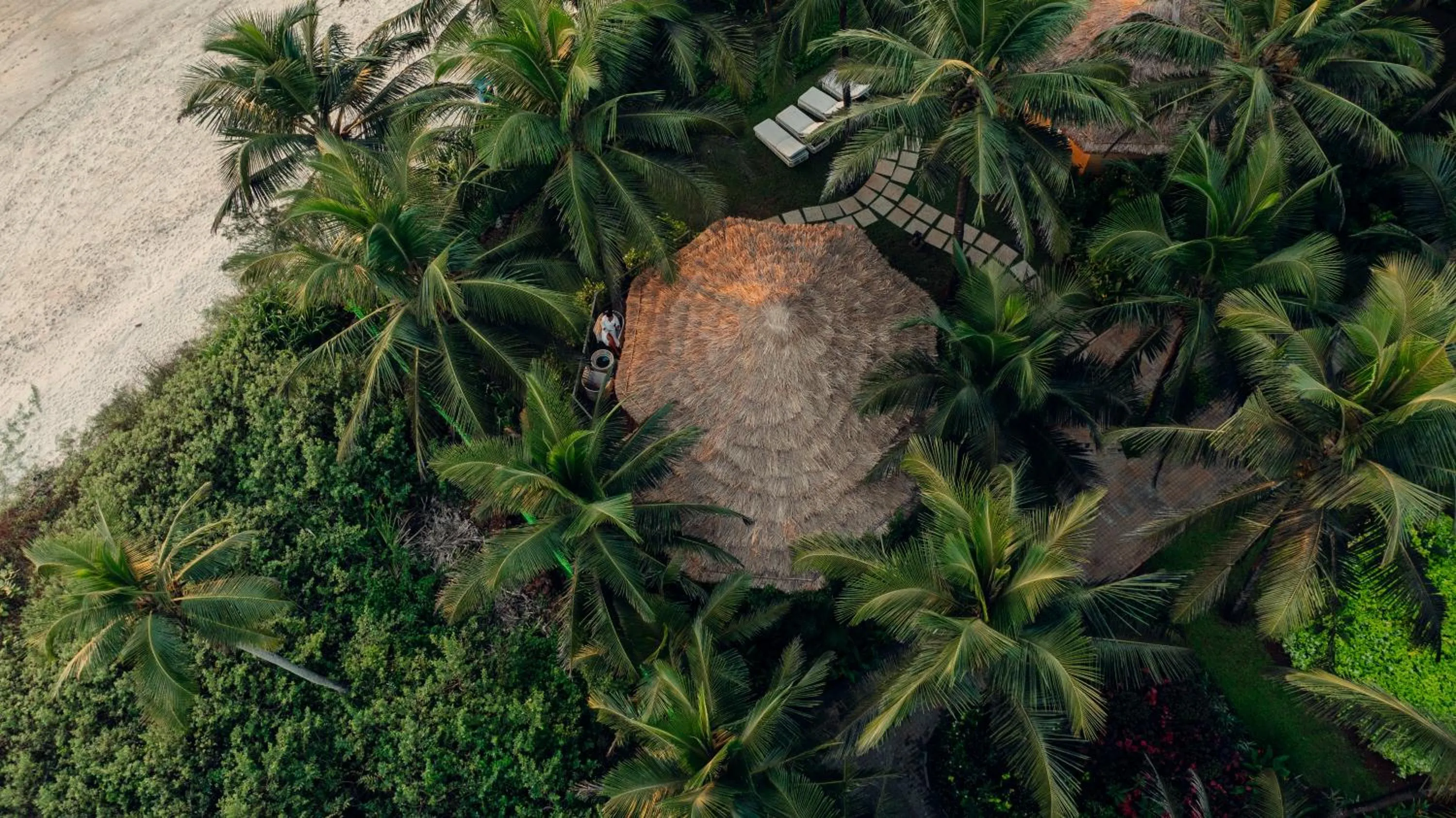 Natural landscape in Planet Hollywood Beach Resort Goa
