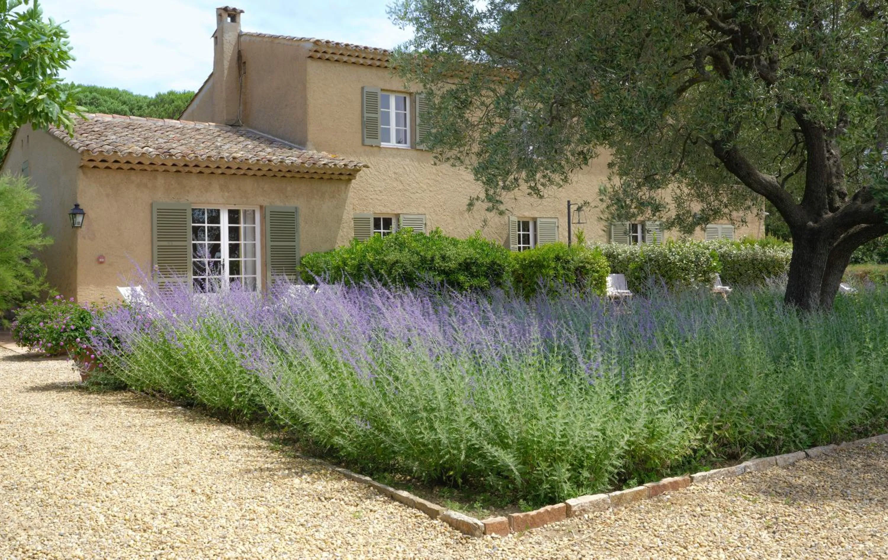 Garden in Hôtel La Figuière
