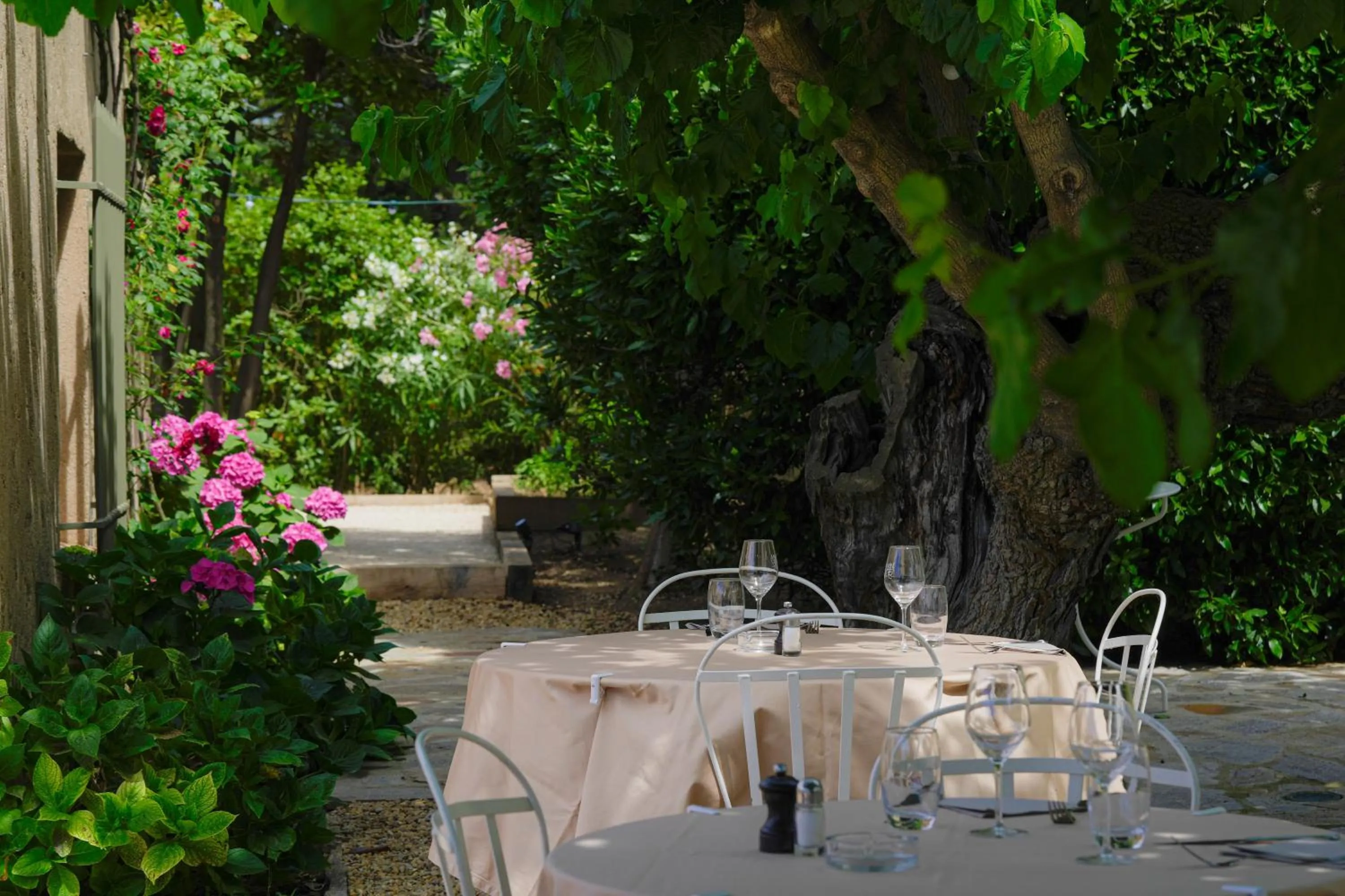 Restaurant/places to eat in Hôtel La Figuière