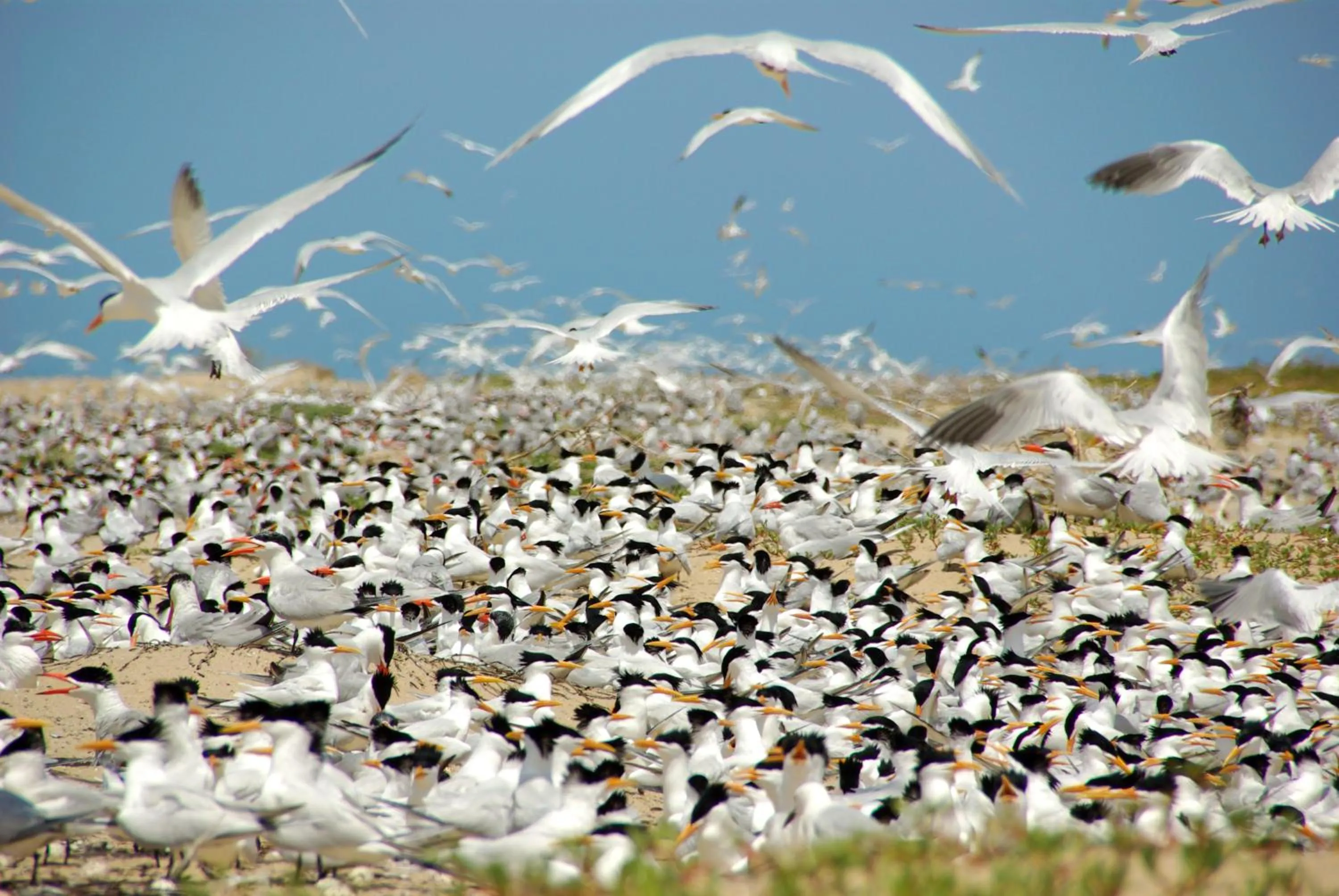 Aqua park in Bed and breakfast Keur Niaye