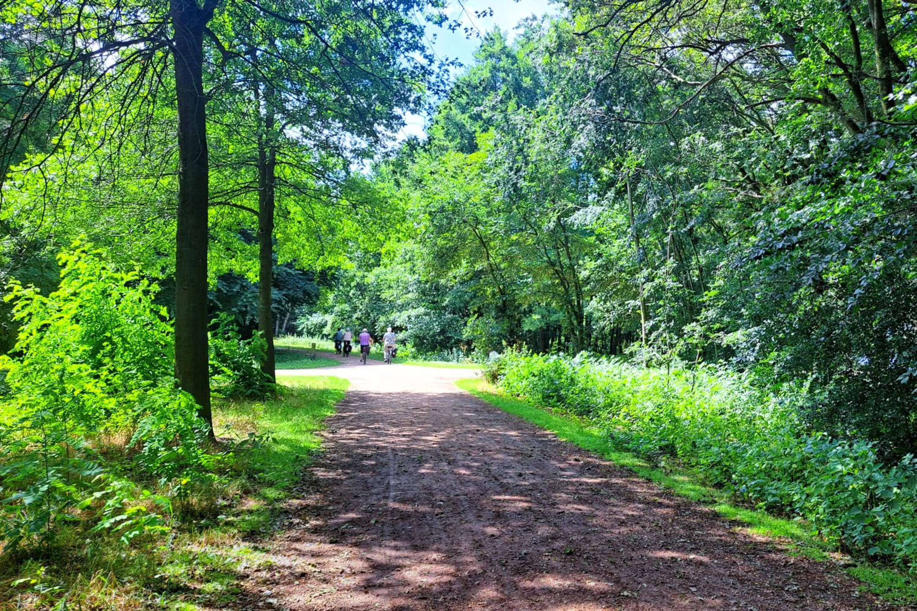Cycling in Parkhotel Horst - Venlo