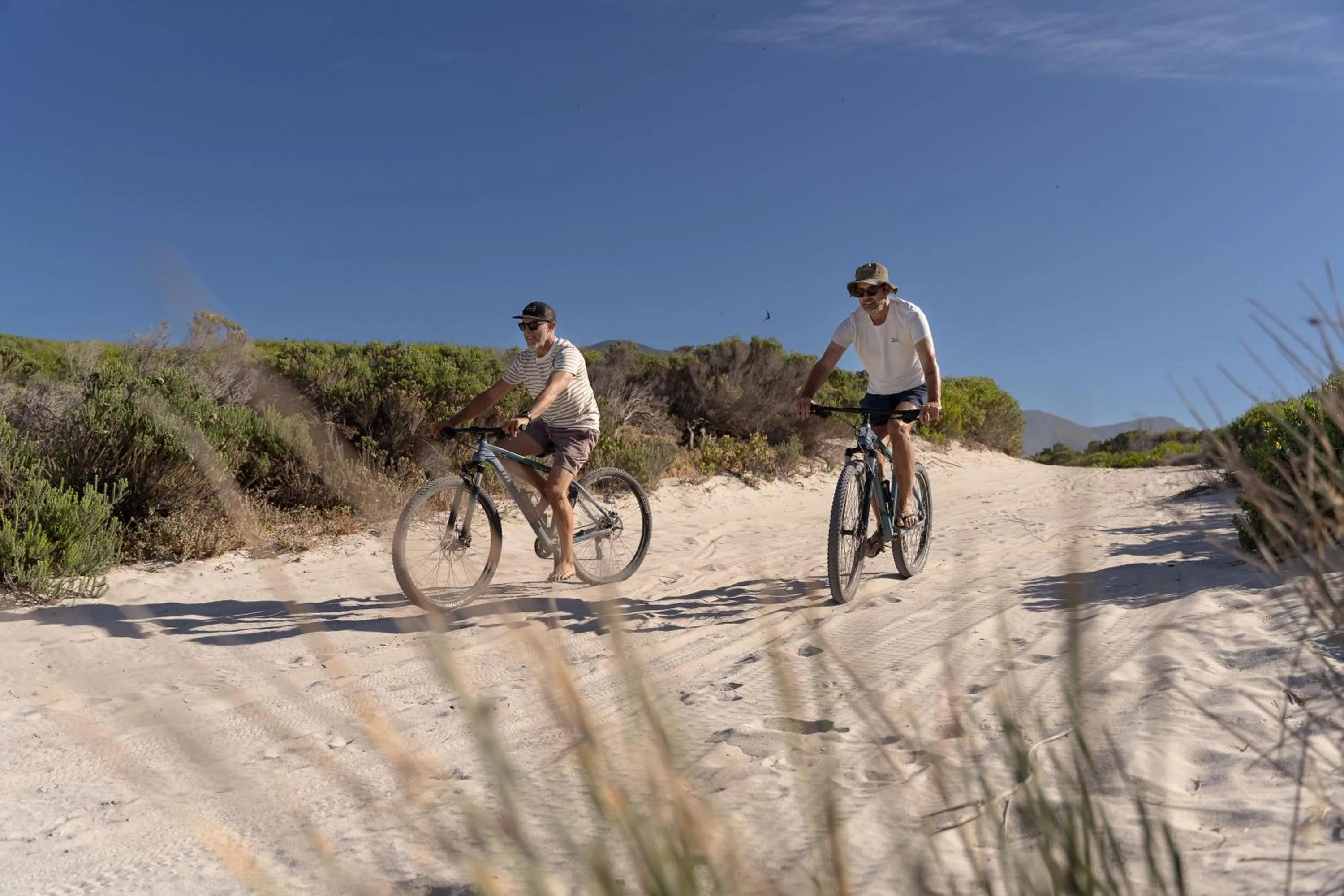 Activities in Coot Club