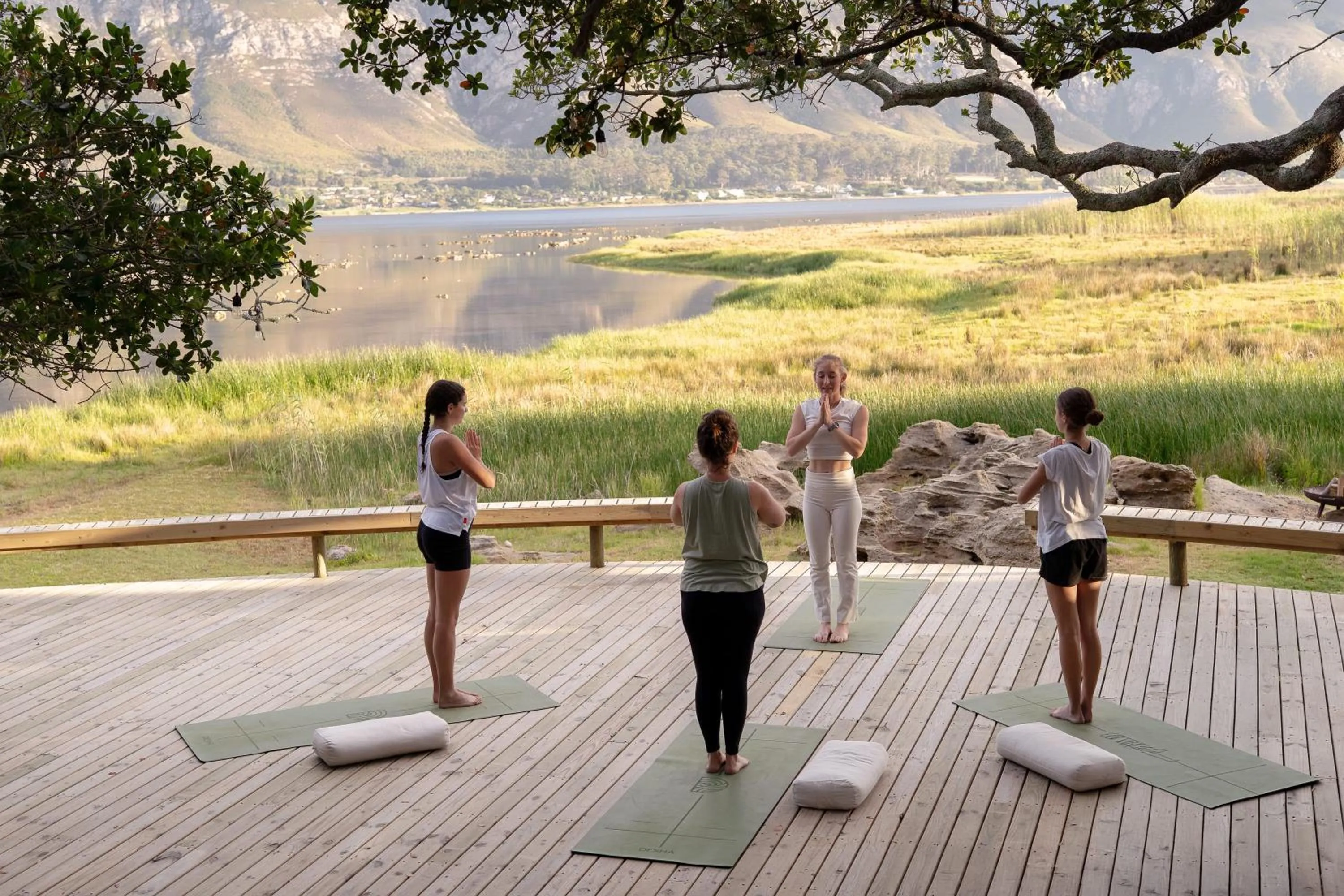 Activities in Coot Club