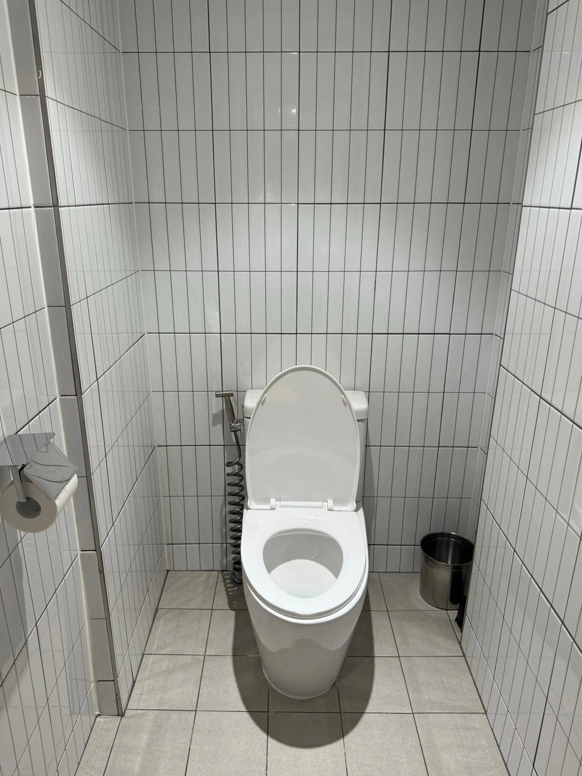 Toilet in DADU House