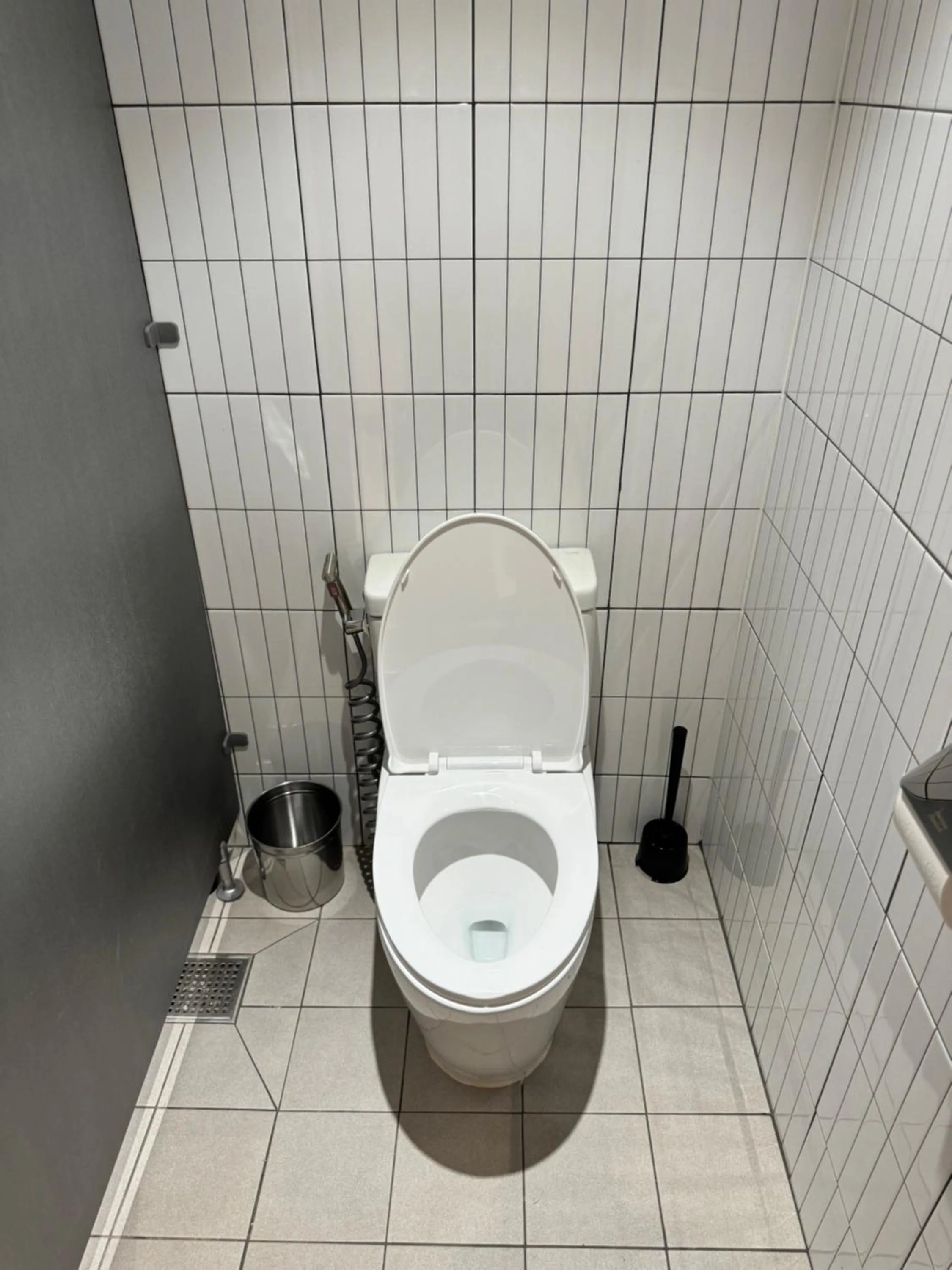 Toilet in DADU House