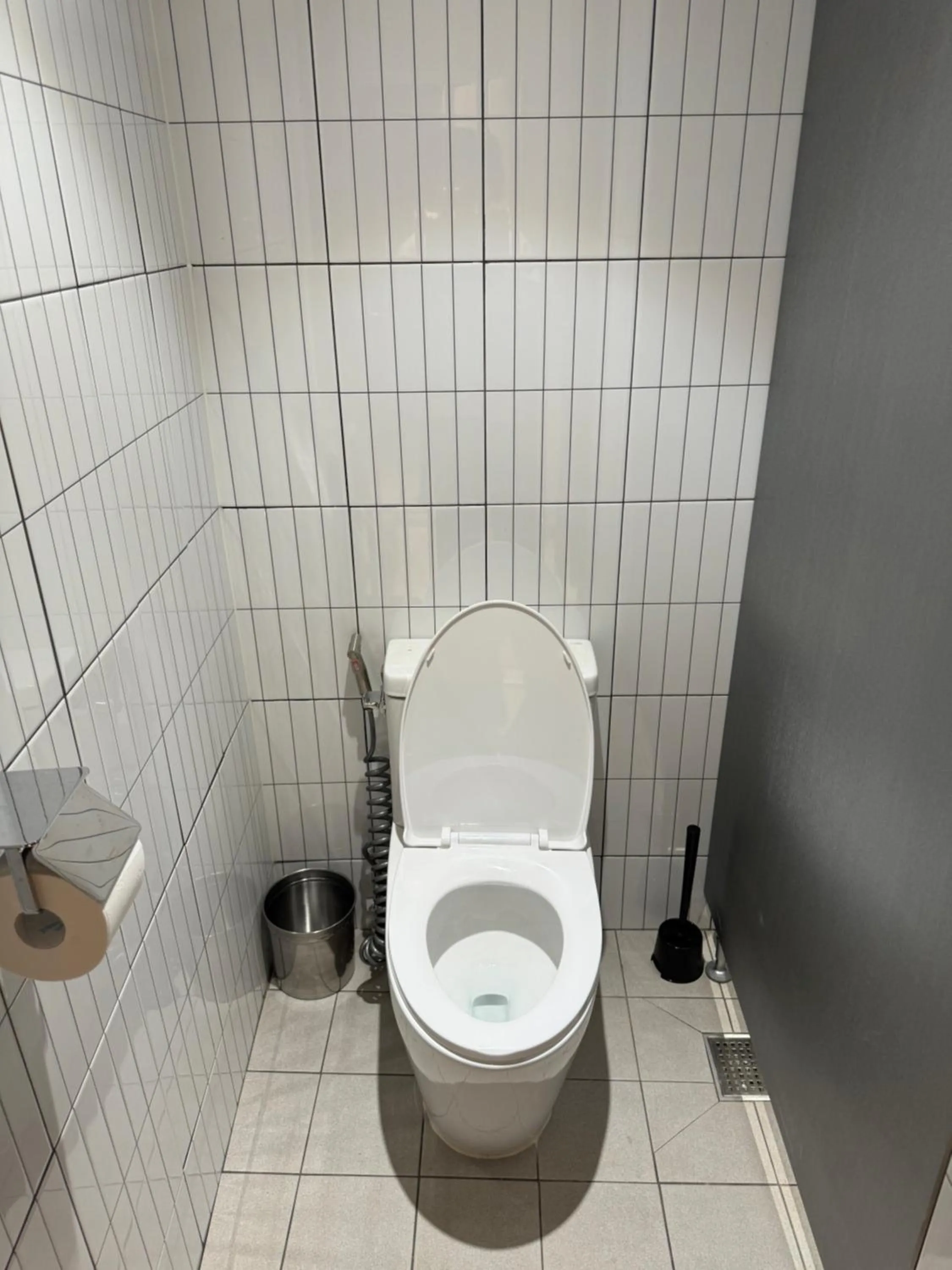 Toilet in DADU House