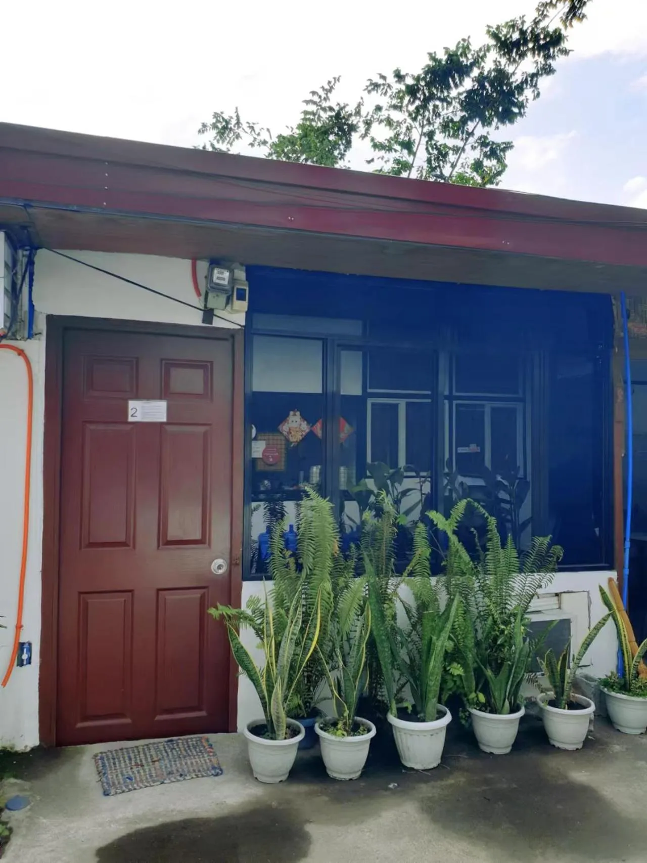 Villa Rose Boarding House and Homestay