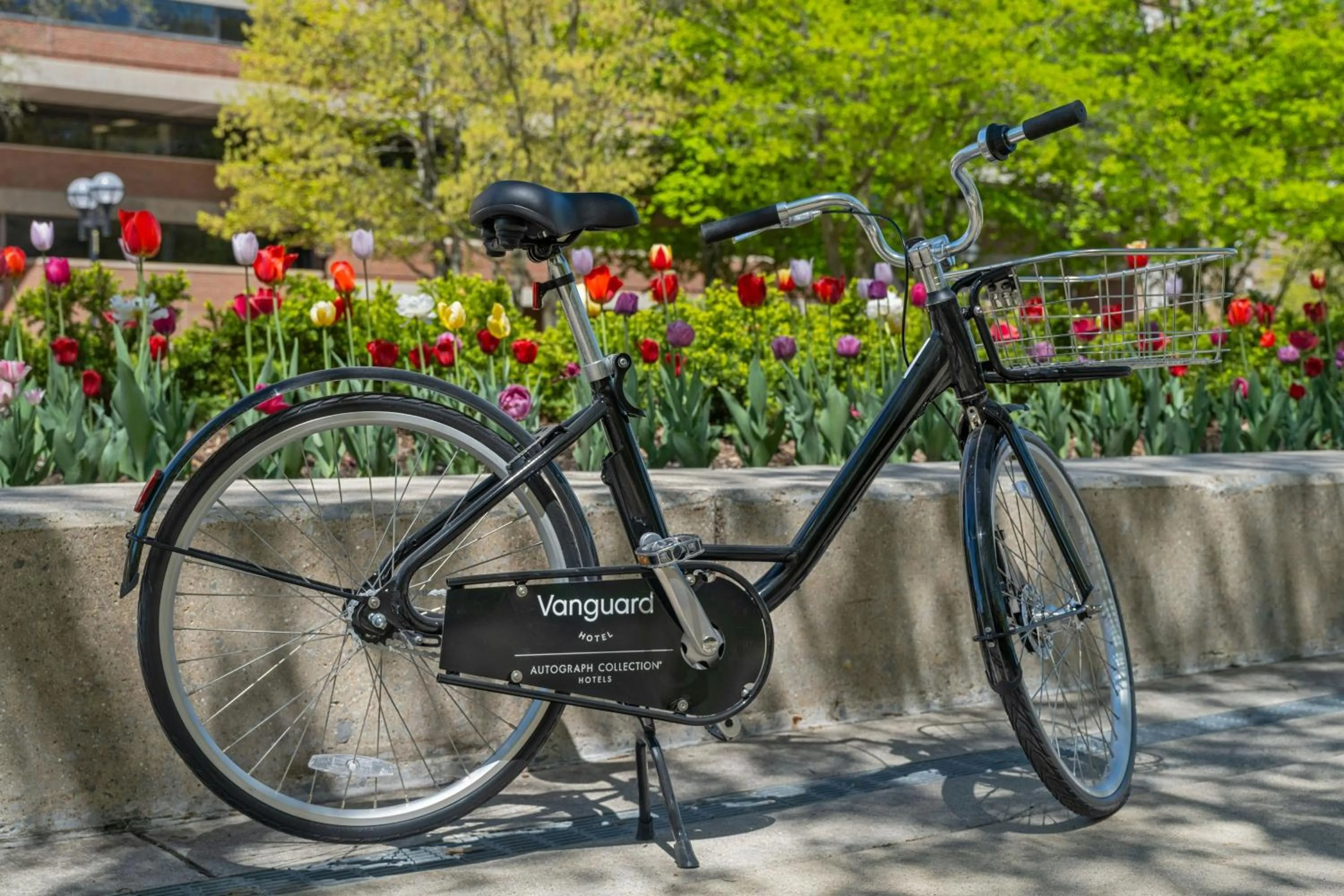 Cycling in The Vanguard Ann Arbor, Autograph Collection