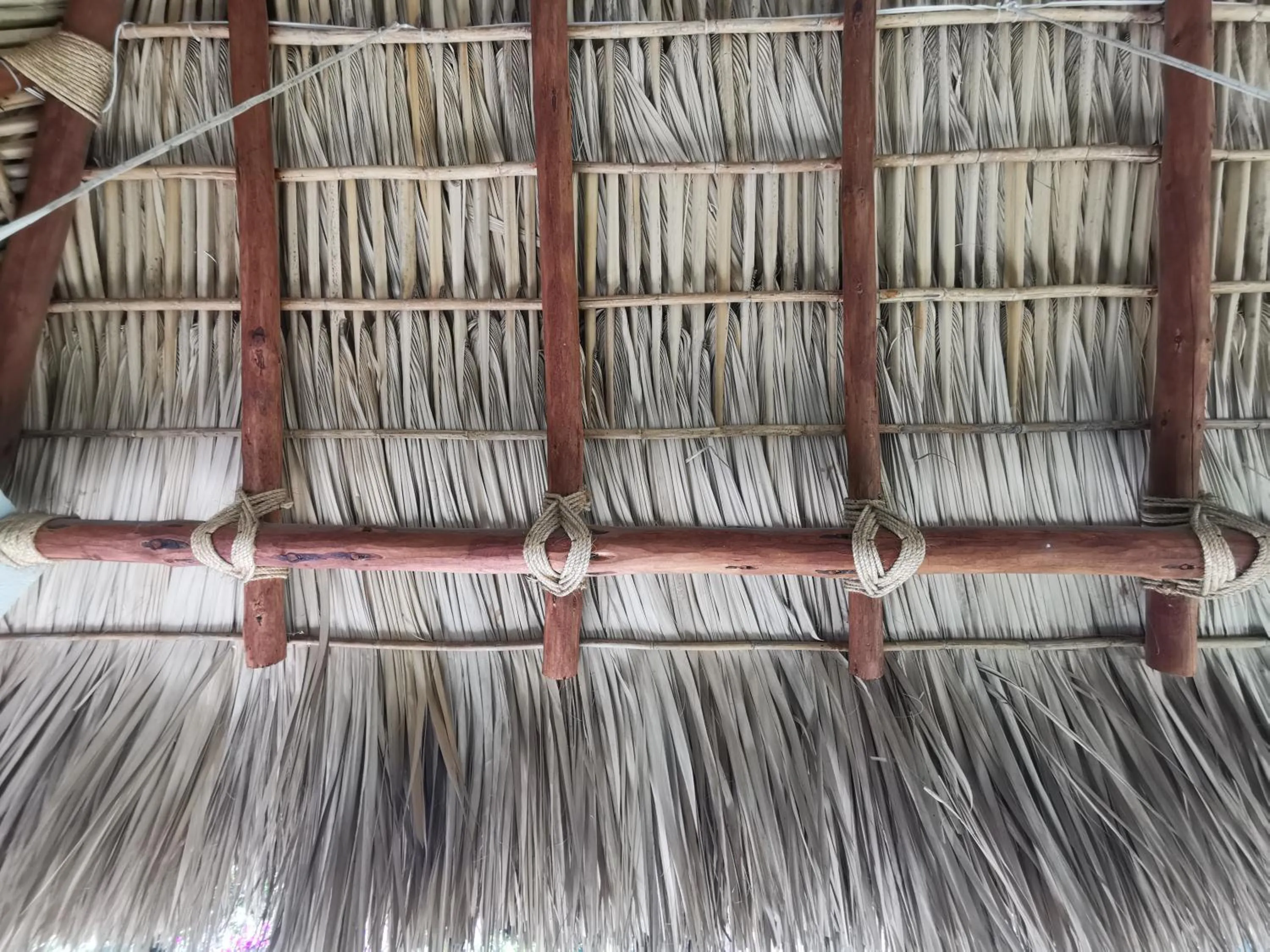 Decorative detail in Mocca Hotels