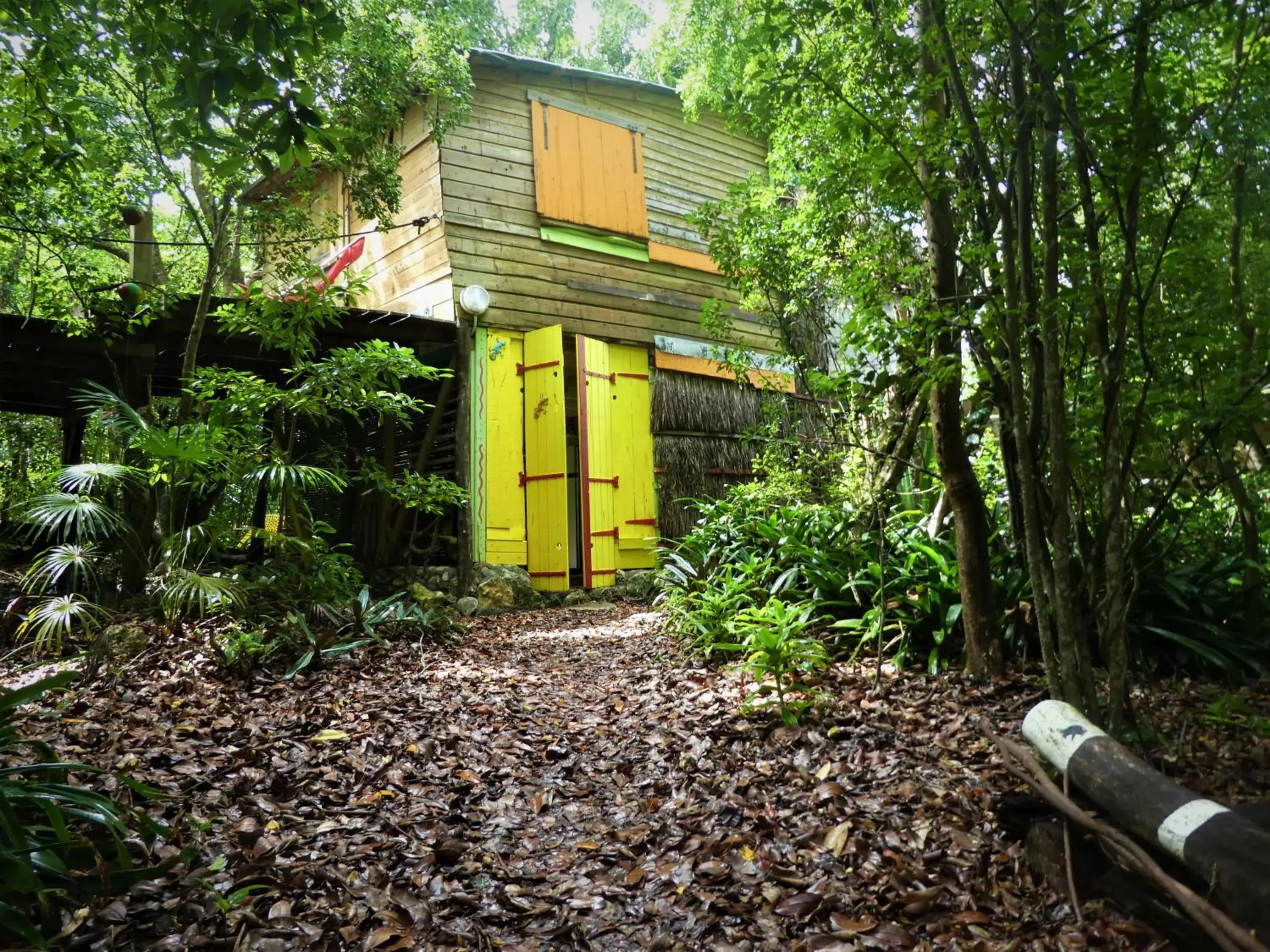 House on the Trees in Esprit Caraibe House on the Trees in Esprit Caraibe